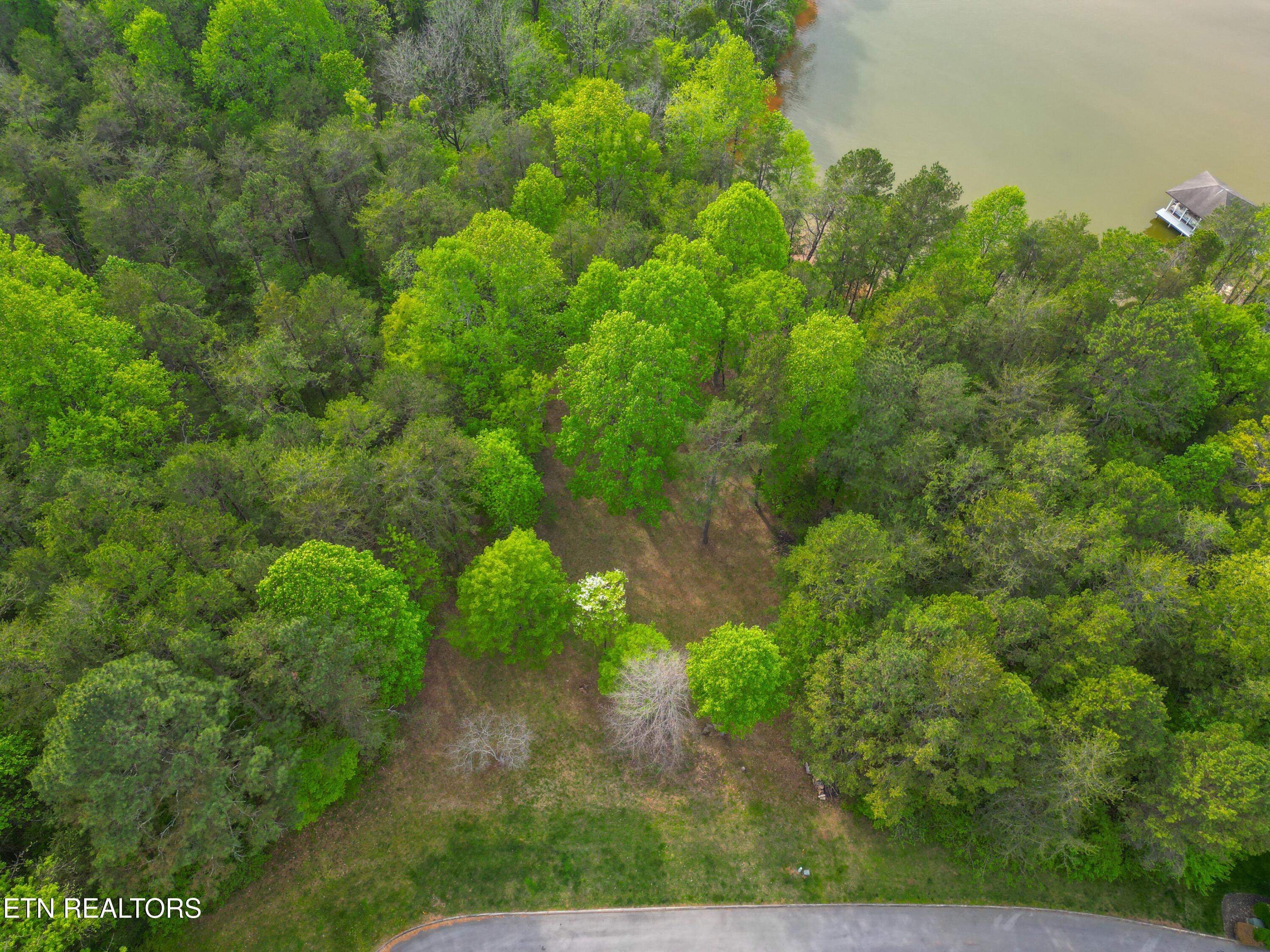 768 Wood Duck Drive, Vonore, TN - Fort Loudoun and Tellico Lake Real Estate - Image# 4