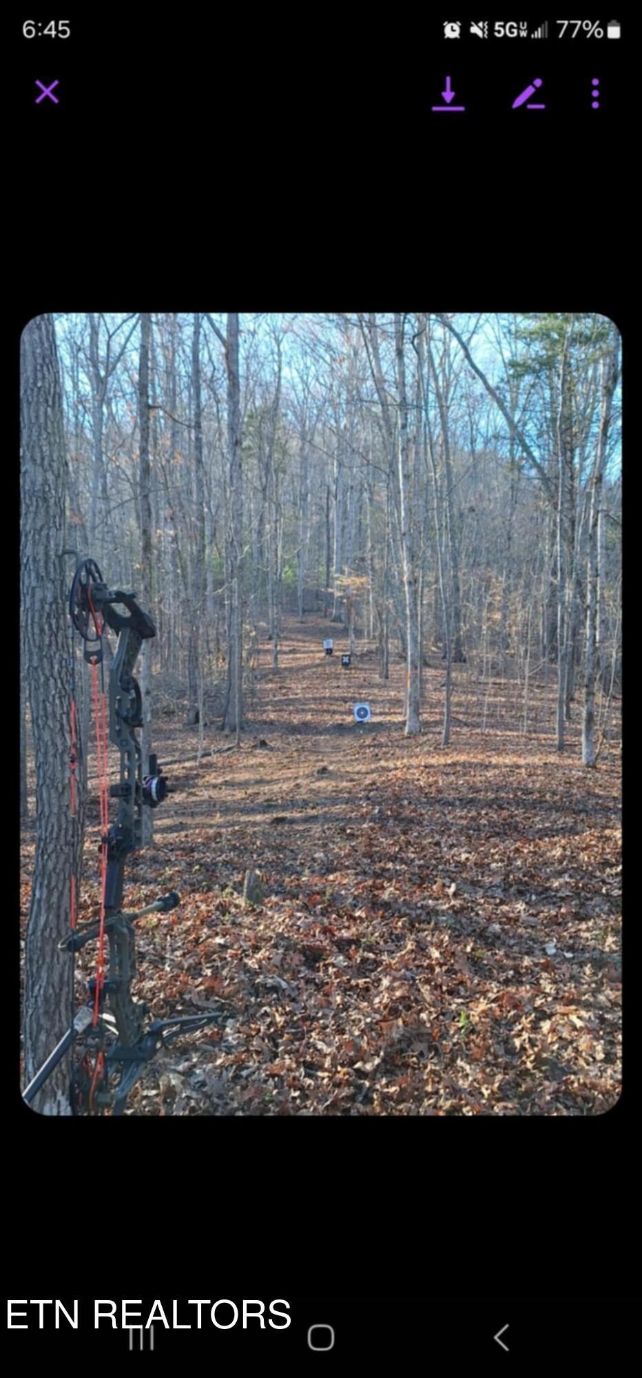 Fort Loudoun and Tellico Lake Real Estate - Image# 53