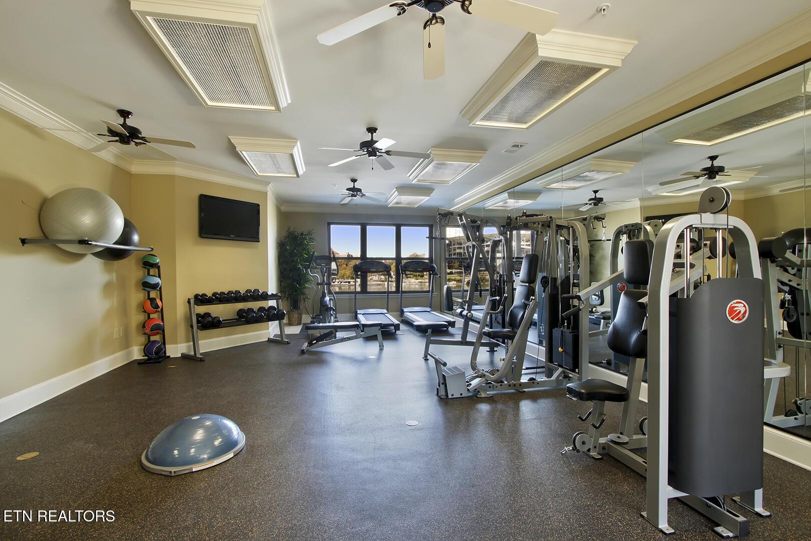 445 W Blount Ave, Knoxville, TN - Fort Loudoun and Tellico Lake Real Estate - Image# 38