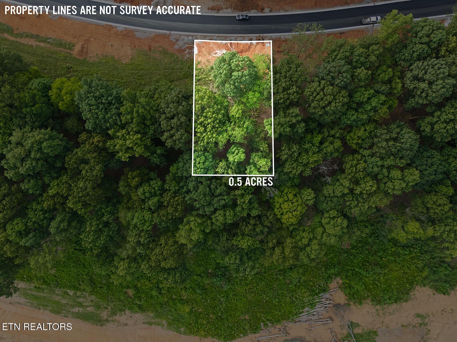 Fort Loudoun and Tellico Lake Real Estate - Image# 13