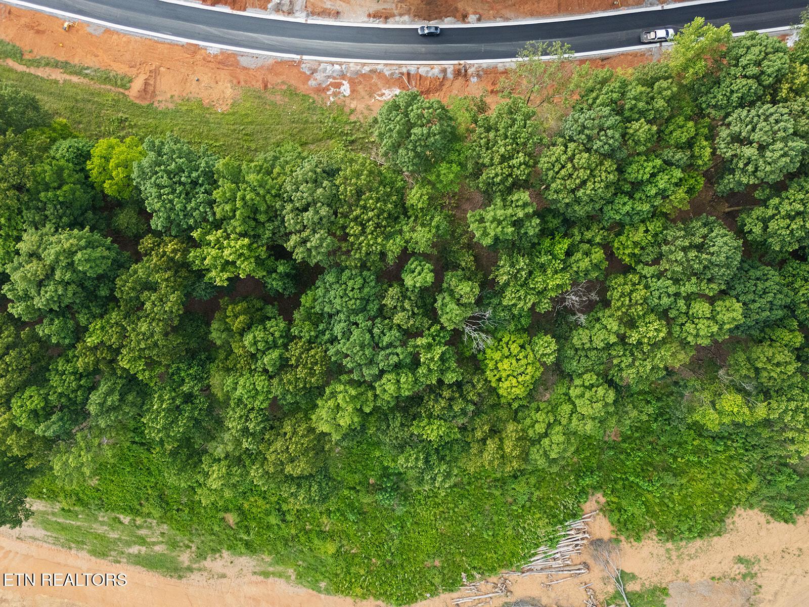 Fort Loudoun and Tellico Lake Real Estate - Image# 14