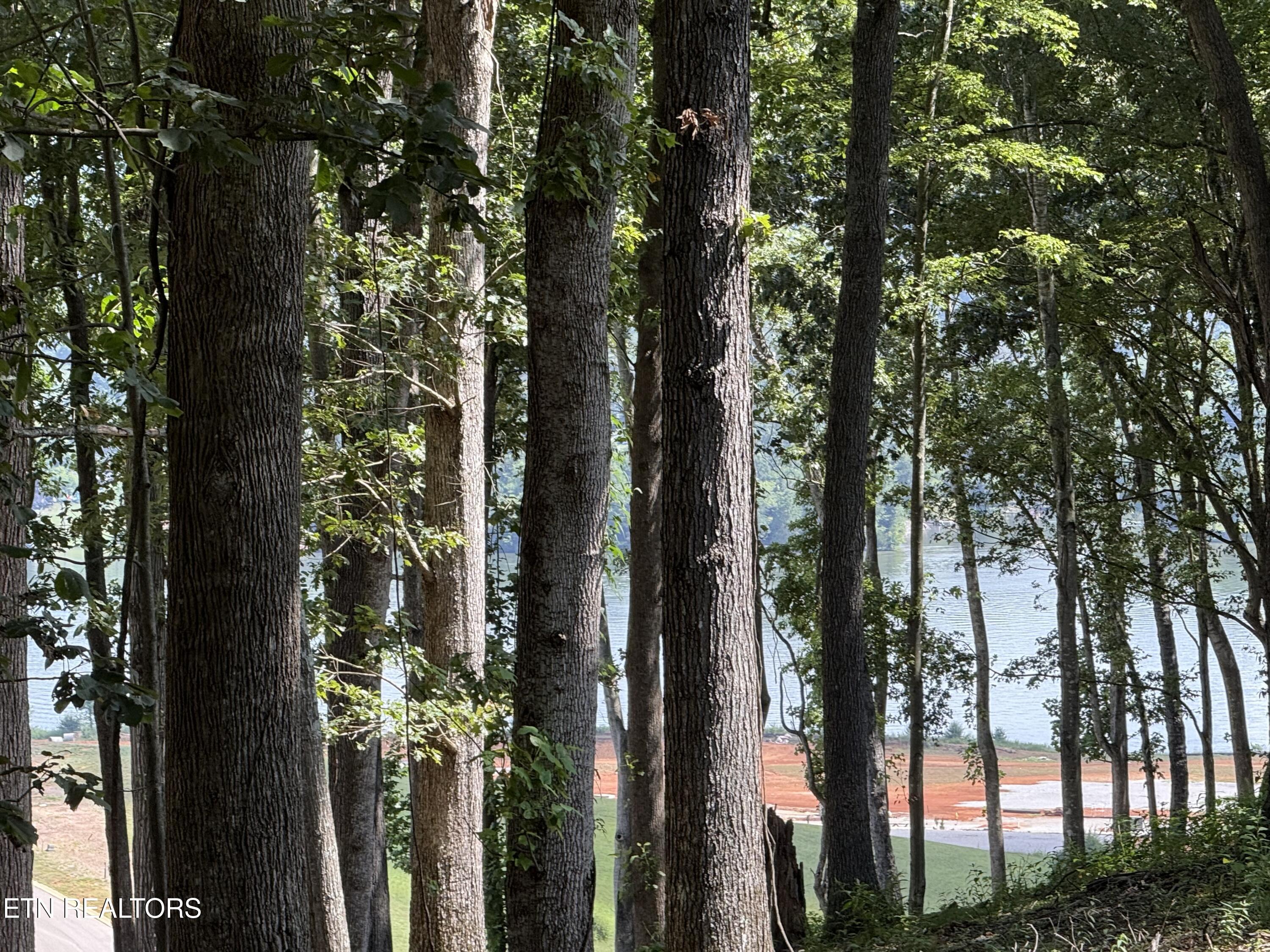 Fort Loudoun and Tellico Lake Real Estate - Image# 21