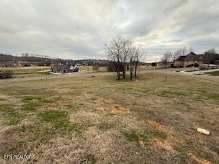 254 Hawks Bend, Loudon, TN - Fort Loudoun and Tellico Lake Real Estate - Image# 7