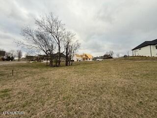 254 Hawks Bend, Loudon, TN - Fort Loudoun and Tellico Lake Real Estate - Image# 4