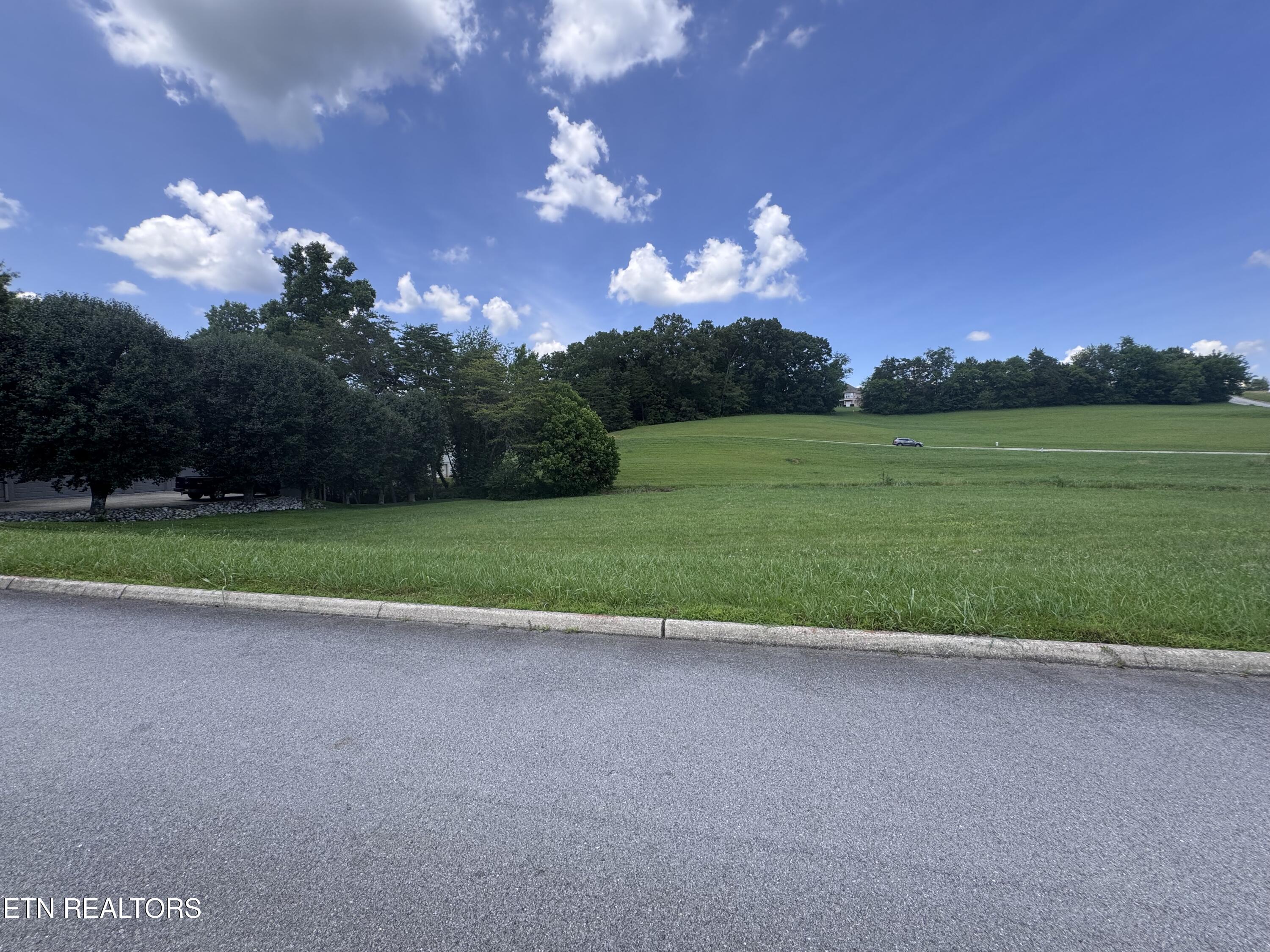 608 Wood Duck Drive, Vonore, TN - Fort Loudoun and Tellico Lake Real Estate - Image# 7