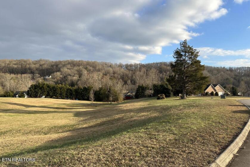 145 Old Farm Rd, Lenoir City, TN - Fort Loudoun and Tellico Lake Real Estate - Image# 6