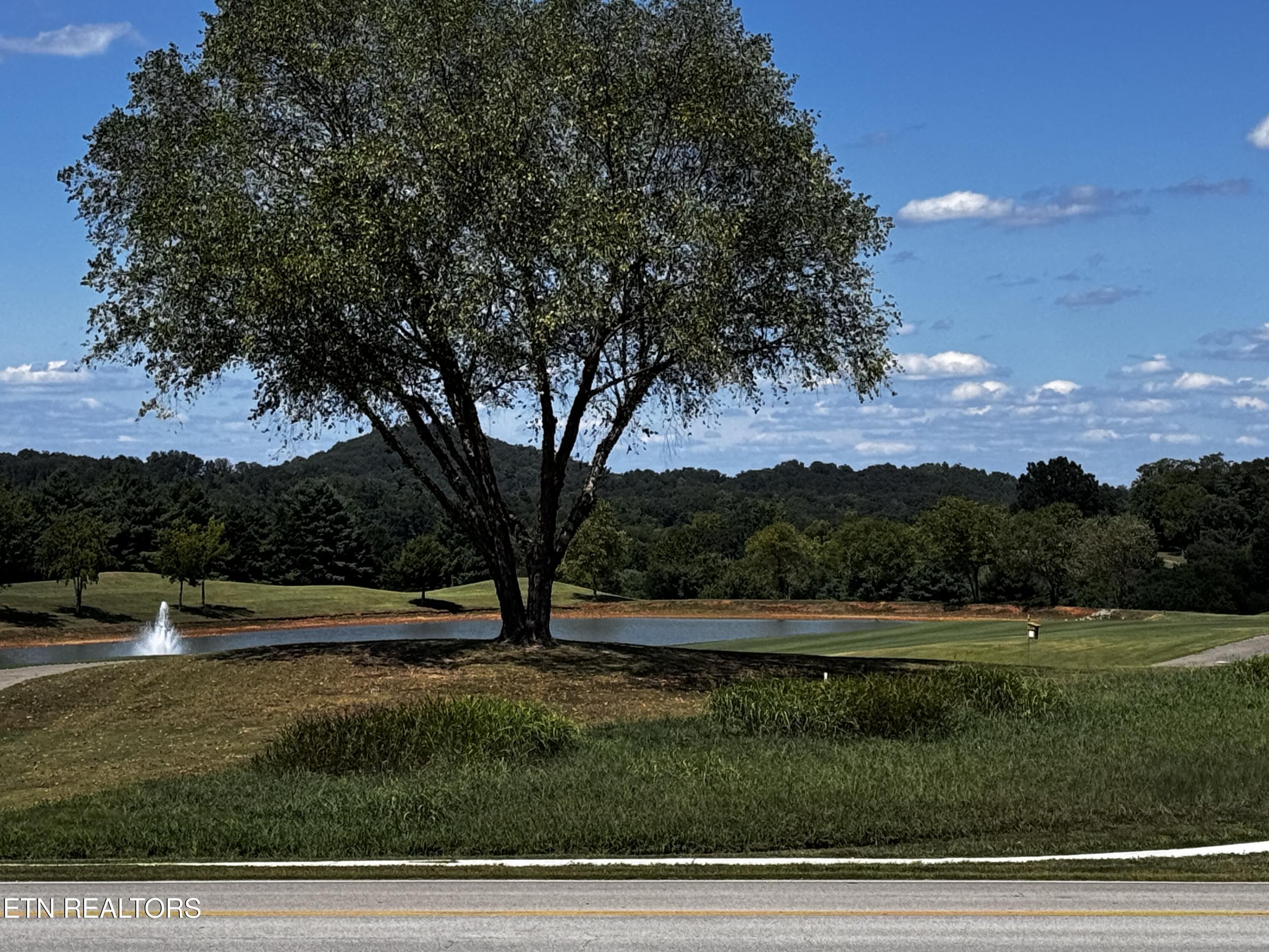 151 Gold Finch Lane, Vonore, TN - Fort Loudoun and Tellico Lake Real Estate - Image# 5