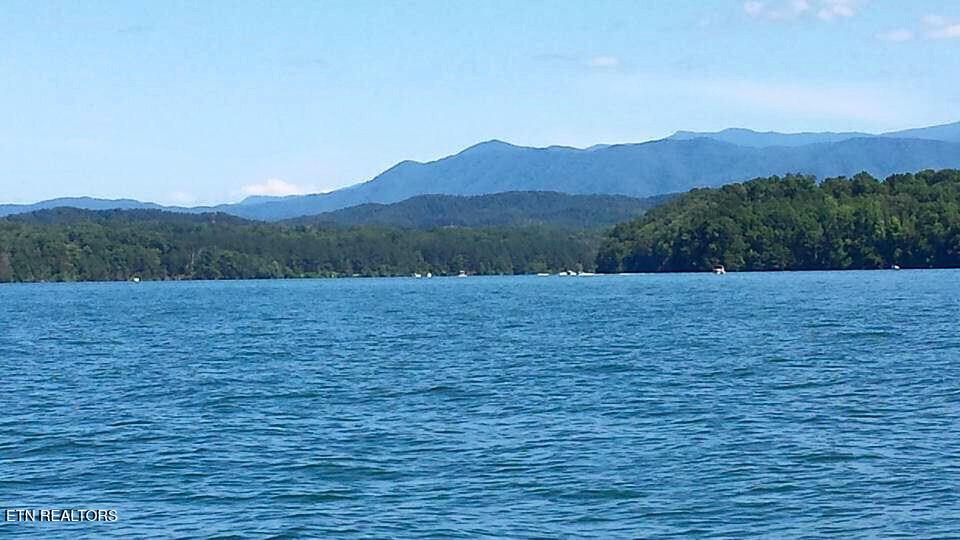 151 Gold Finch Lane, Vonore, TN - Fort Loudoun and Tellico Lake Real Estate - Image# 15