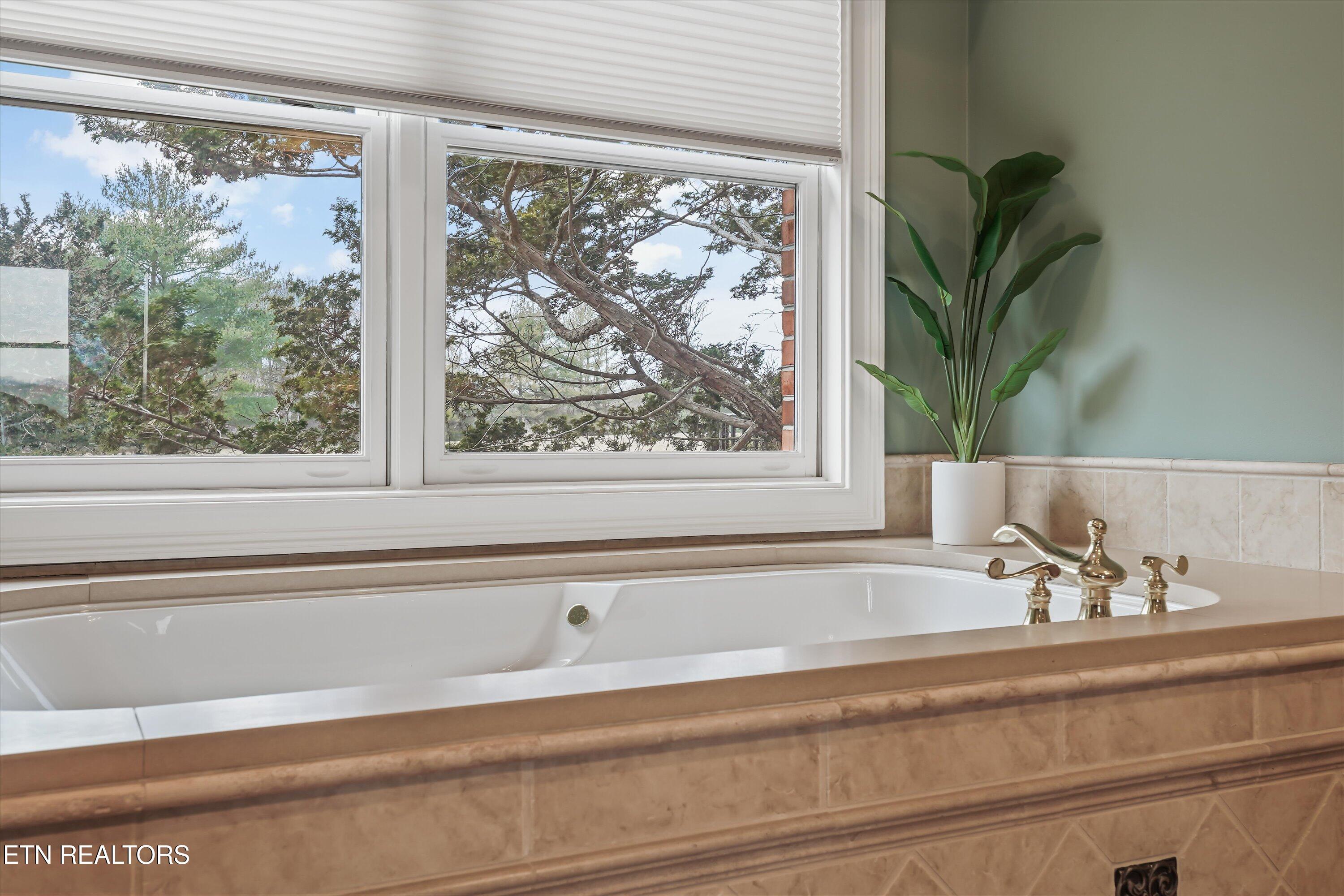 Fort Loudoun and Tellico Lake Real Estate - Image# 38