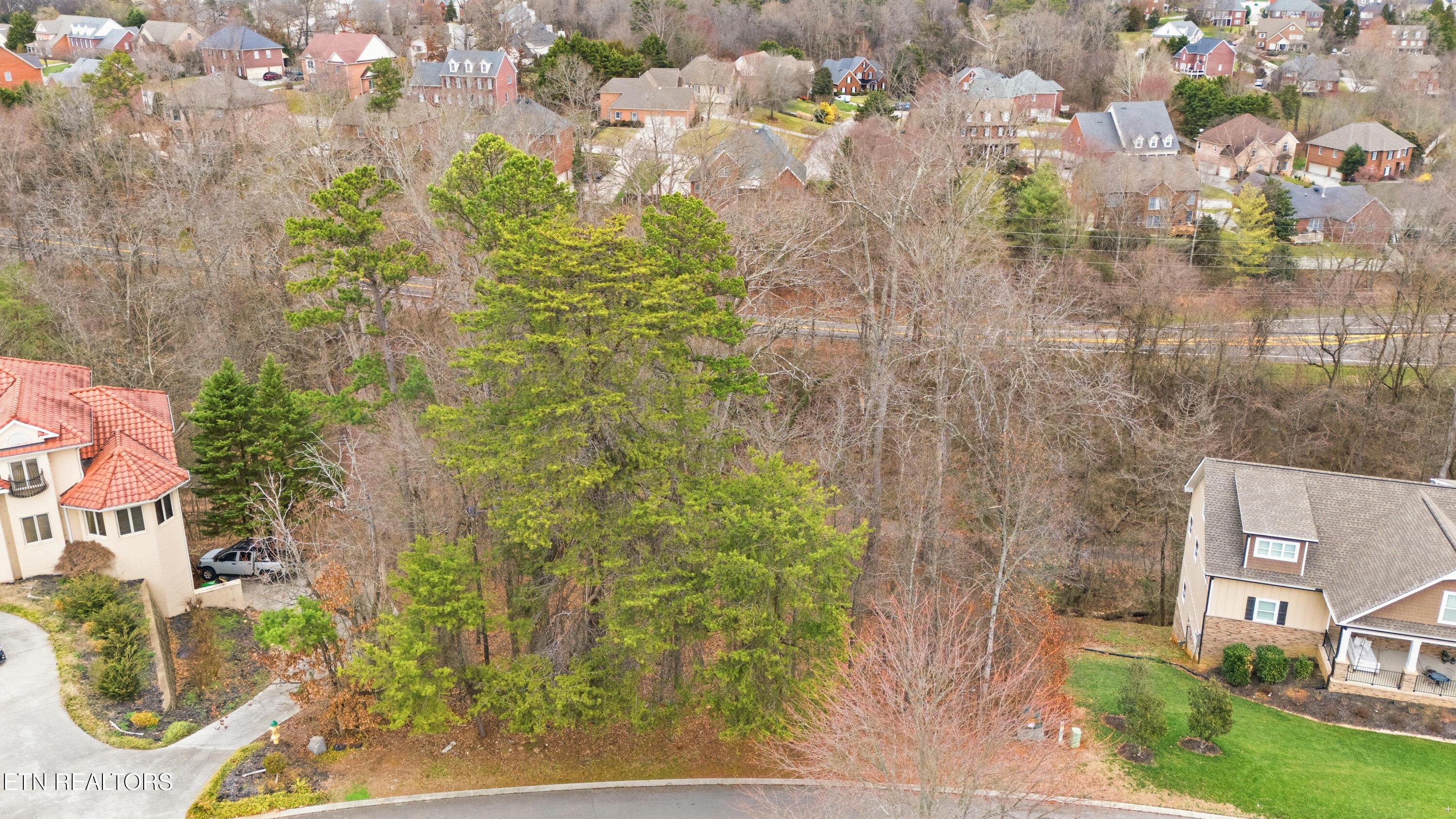 Fort Loudoun and Tellico Lake Real Estate - Image# 3