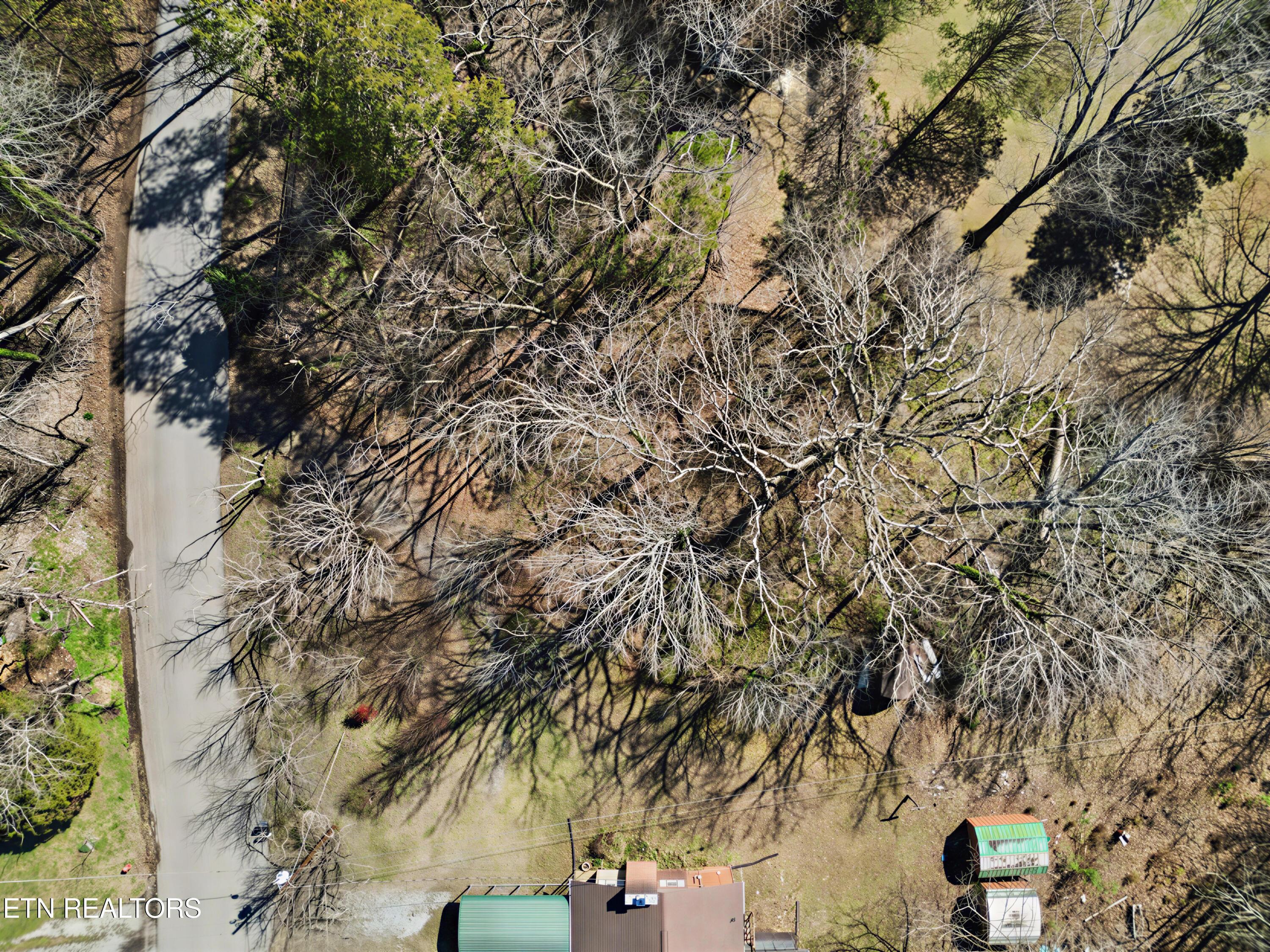 165 Cedar Crest Lane, Friendsville, TN - Fort Loudoun and Tellico Lake Real Estate - Image# 35