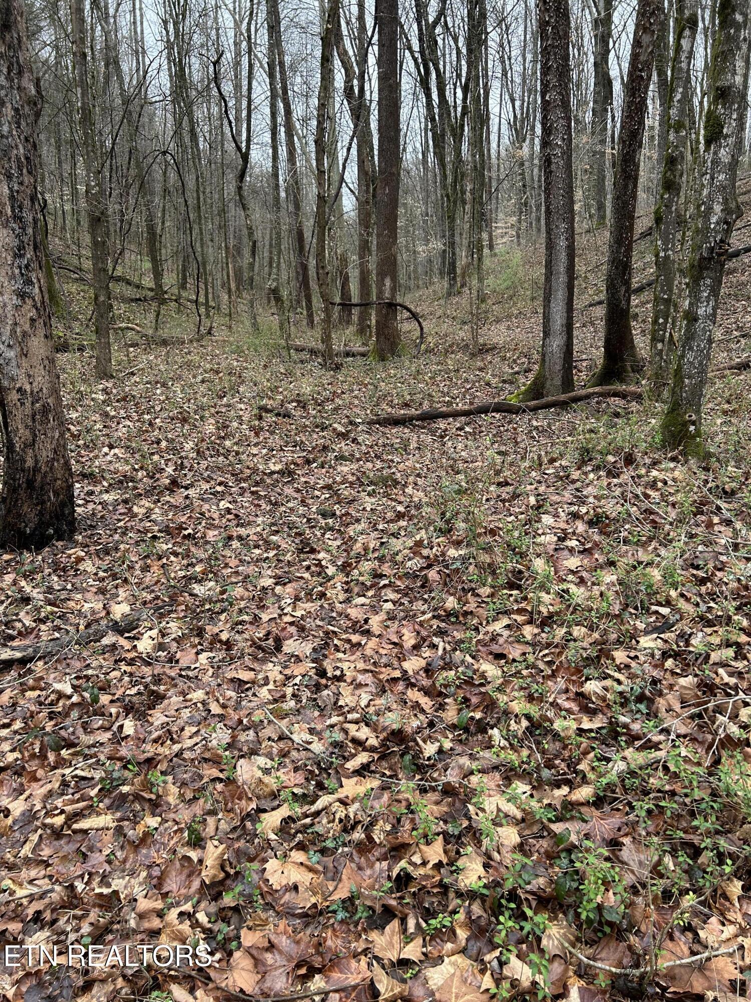 Fort Loudoun and Tellico Lake Real Estate - Image# 3