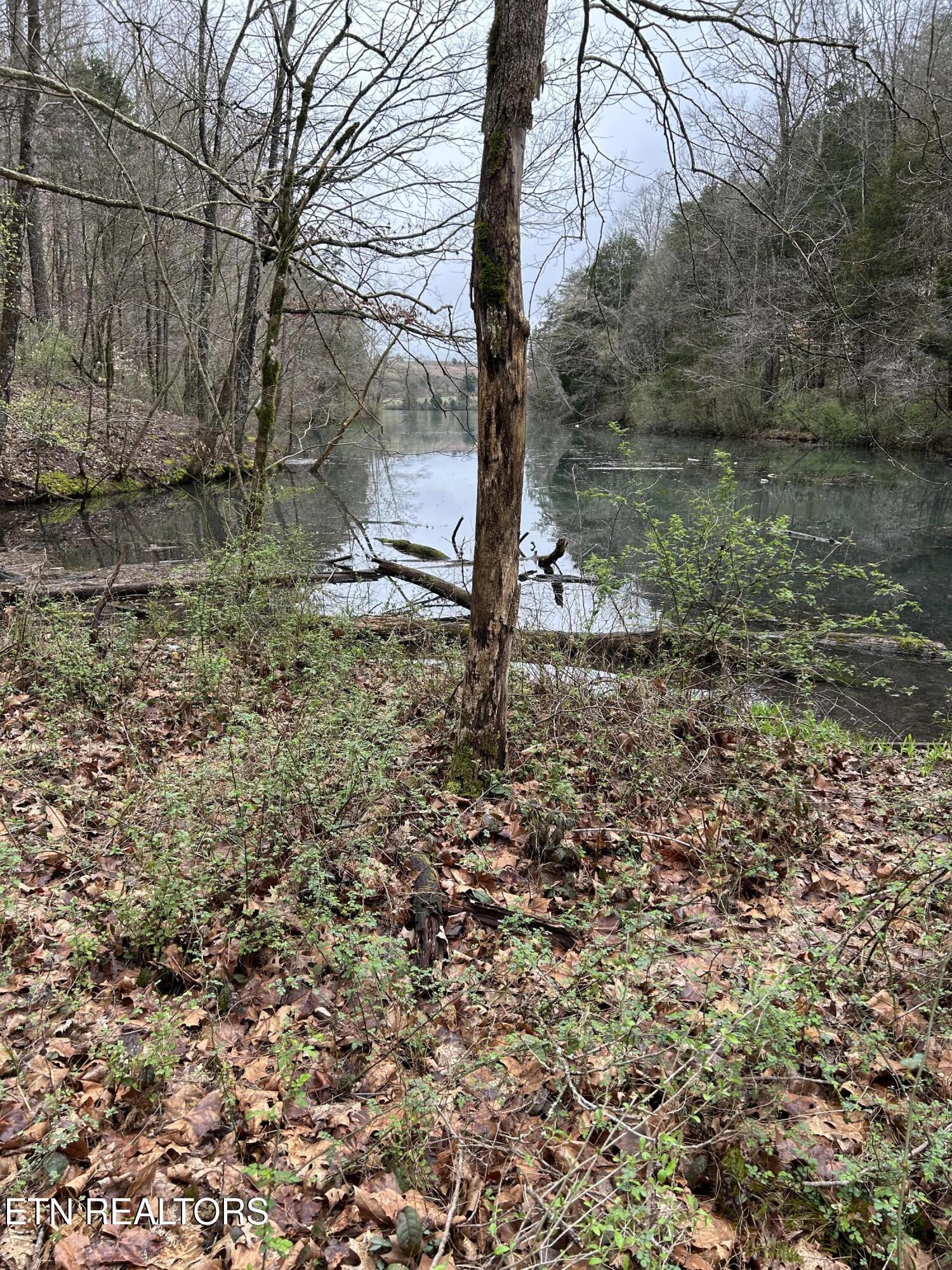 Fort Loudoun and Tellico Lake Real Estate - Image# 6