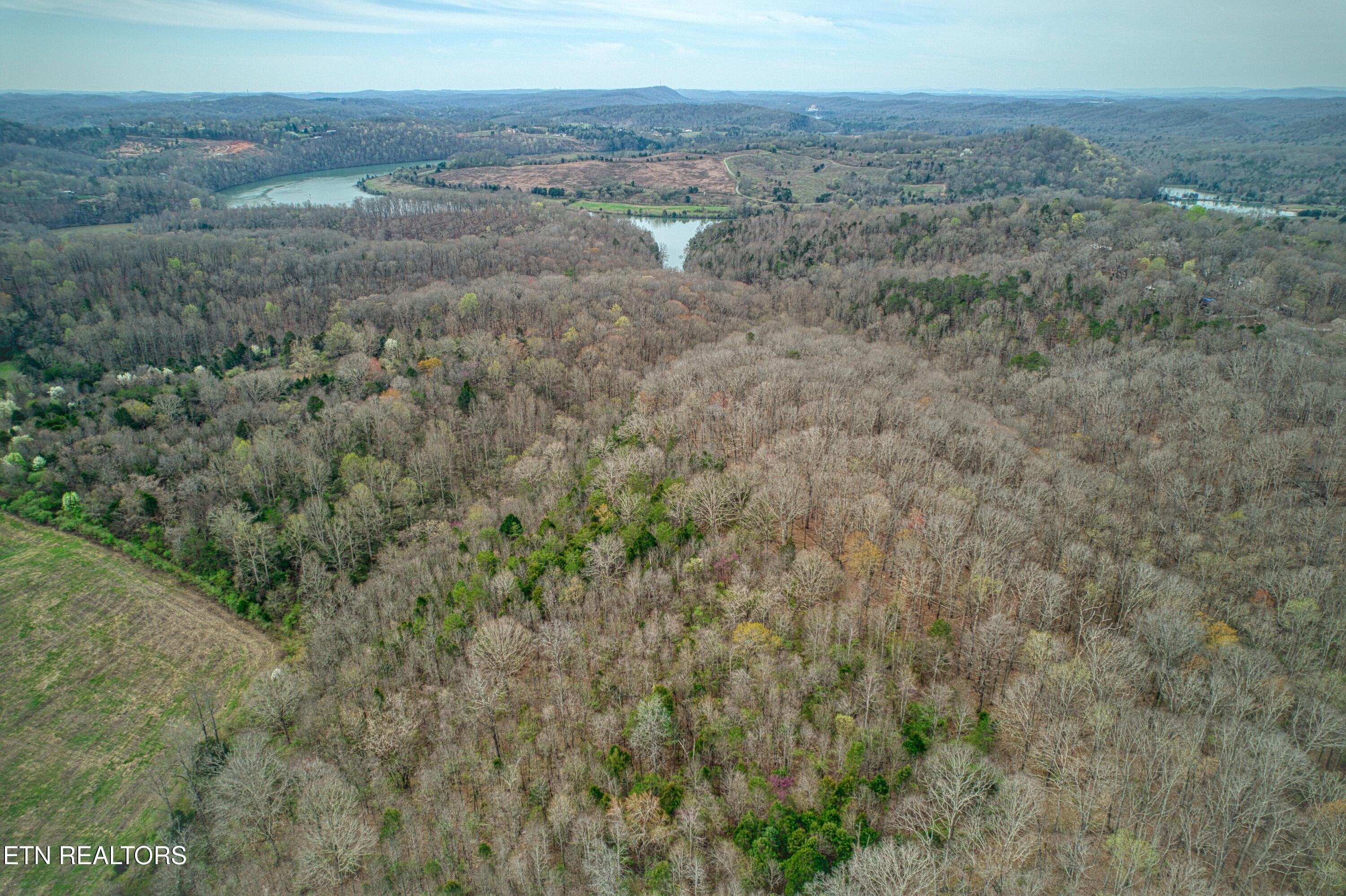 Fort Loudoun and Tellico Lake Real Estate - Image# 5