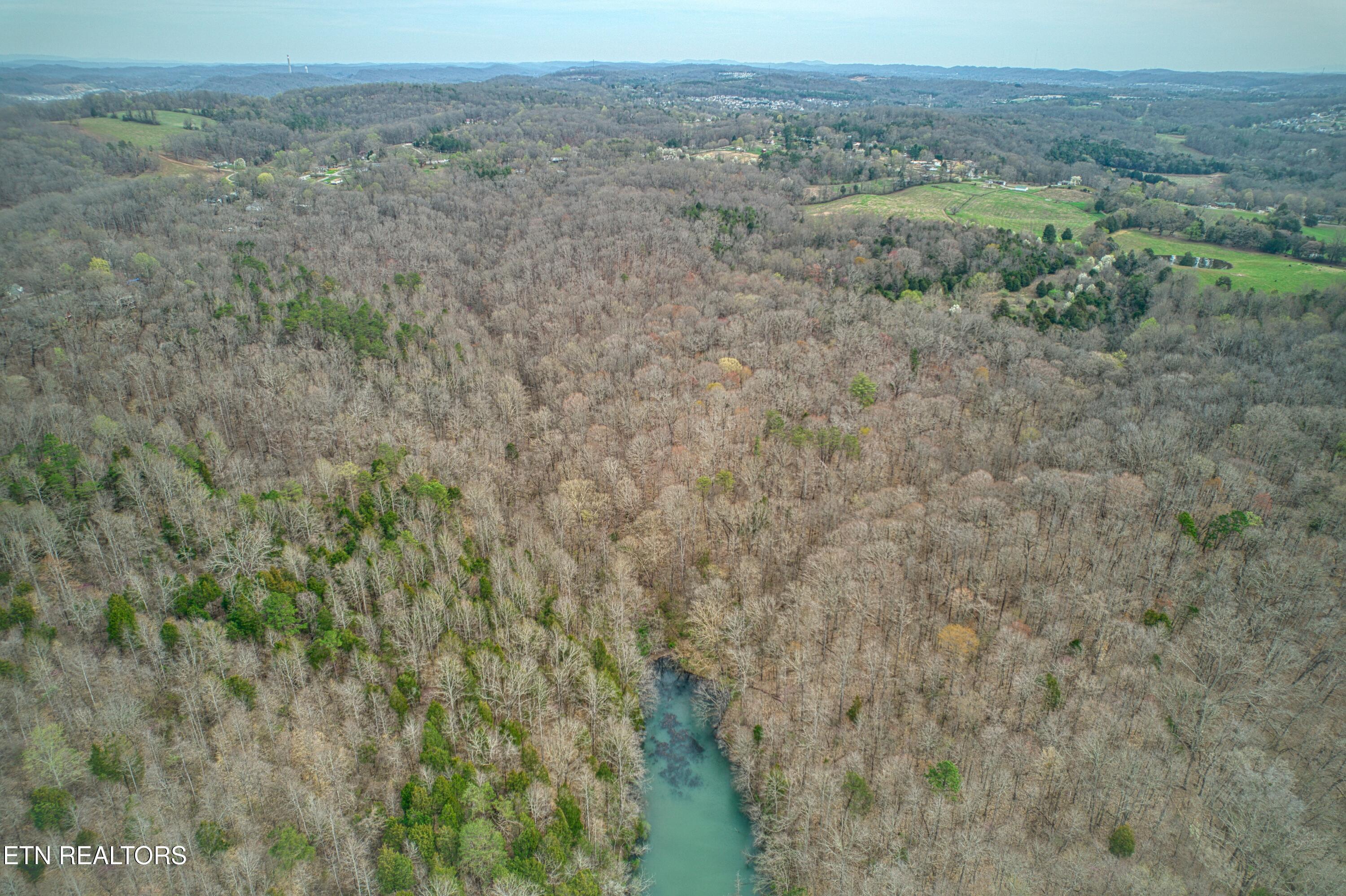 Fort Loudoun and Tellico Lake Real Estate - Image# 18