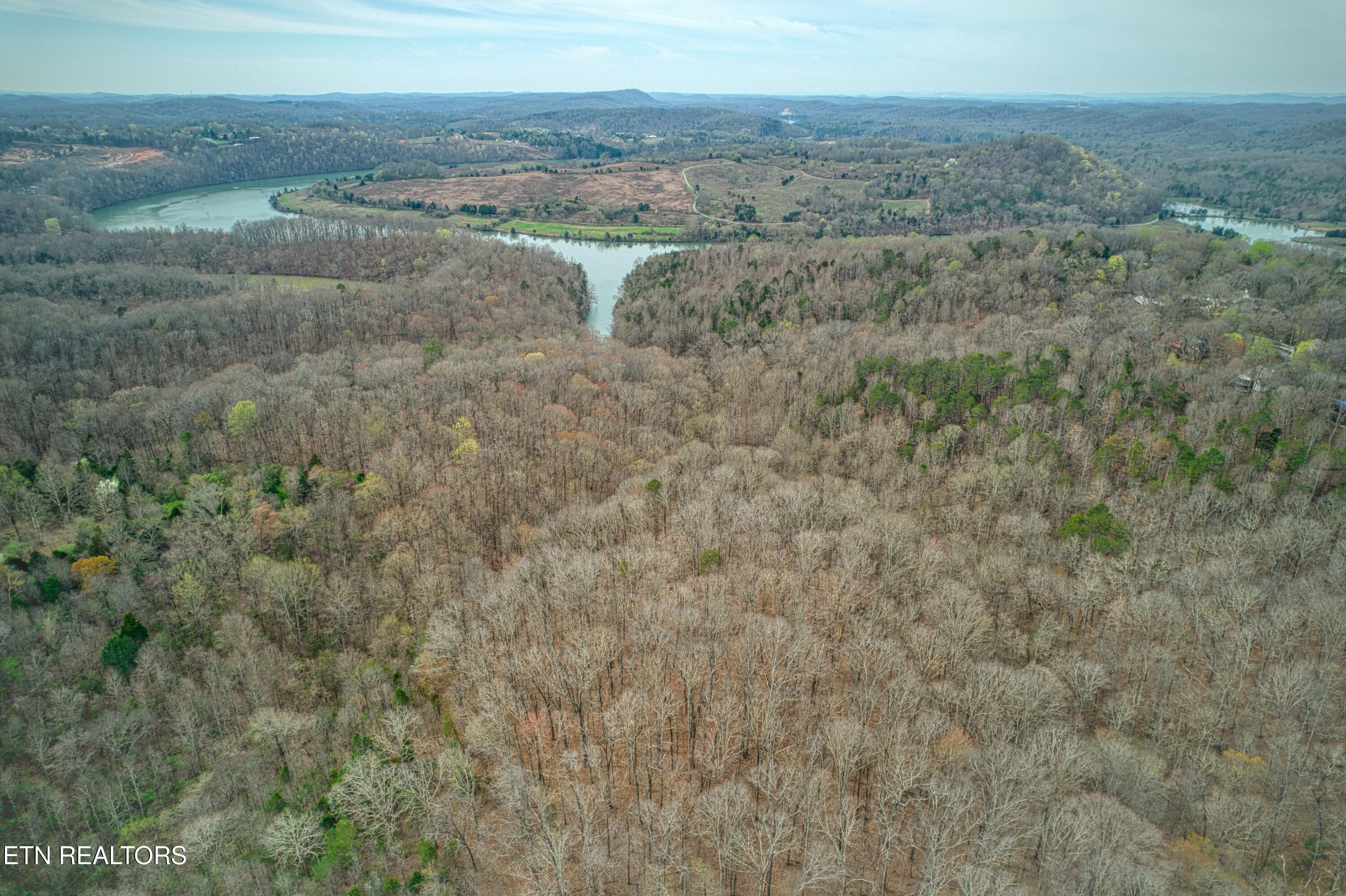 Fort Loudoun and Tellico Lake Real Estate - Image# 19