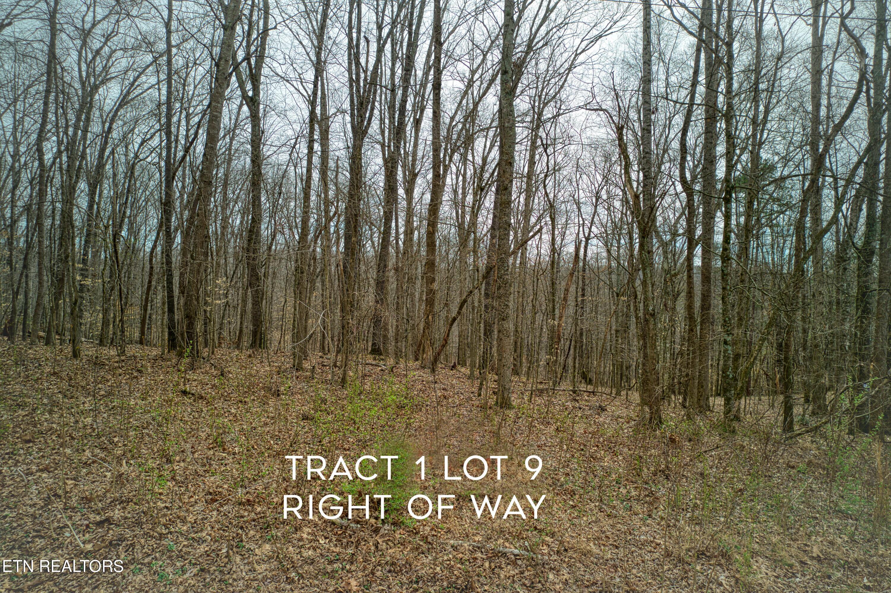 Fort Loudoun and Tellico Lake Real Estate - Image# 22