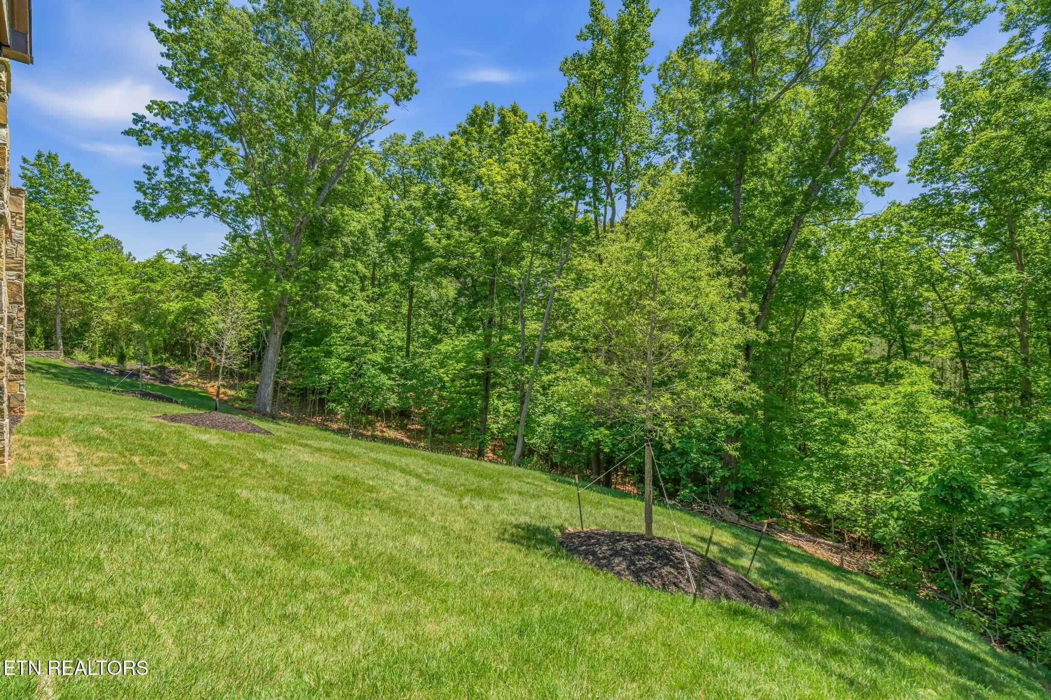 Fort Loudoun and Tellico Lake Real Estate - Image# 60