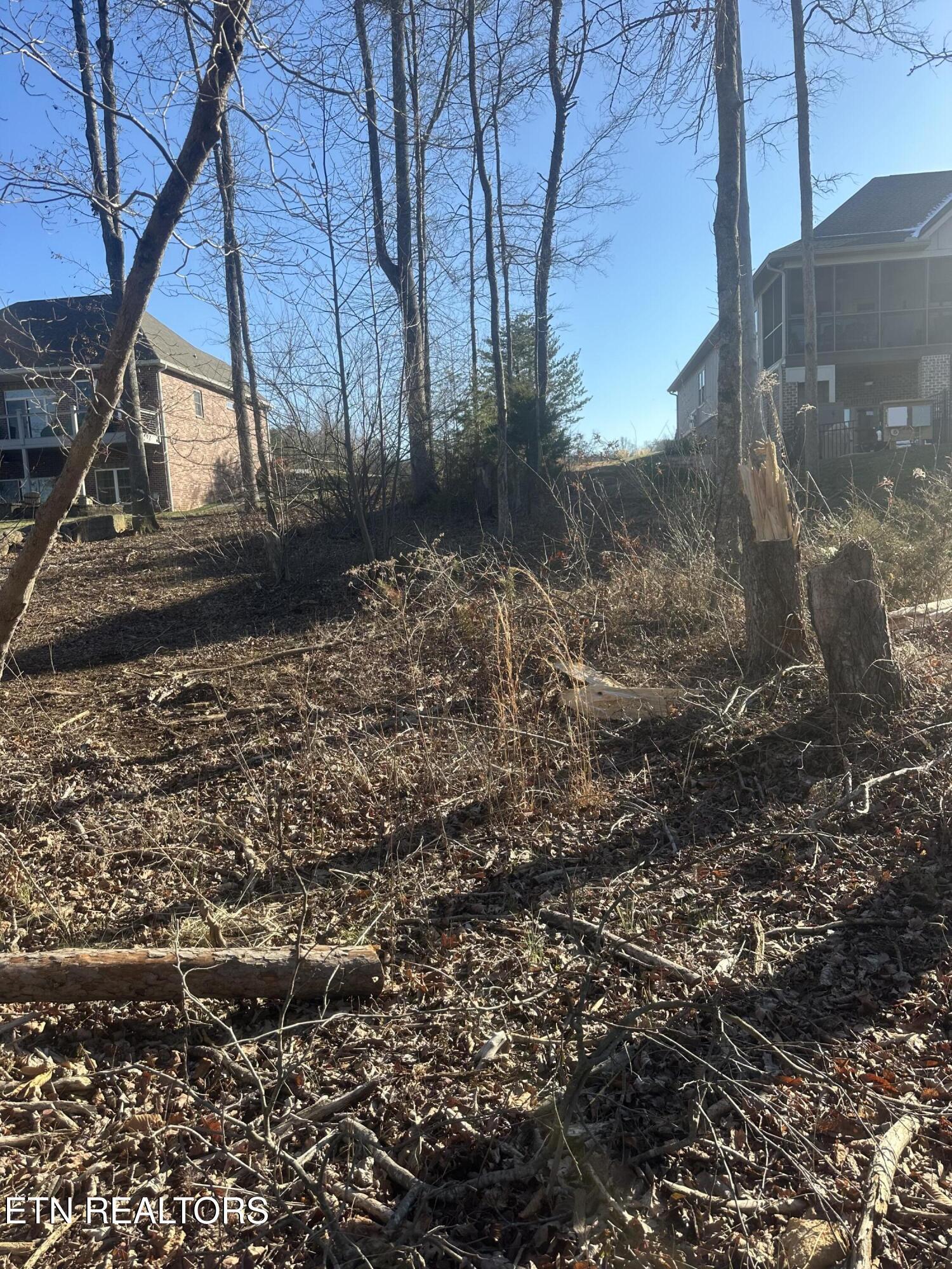 Fort Loudoun and Tellico Lake Real Estate - Image# 10