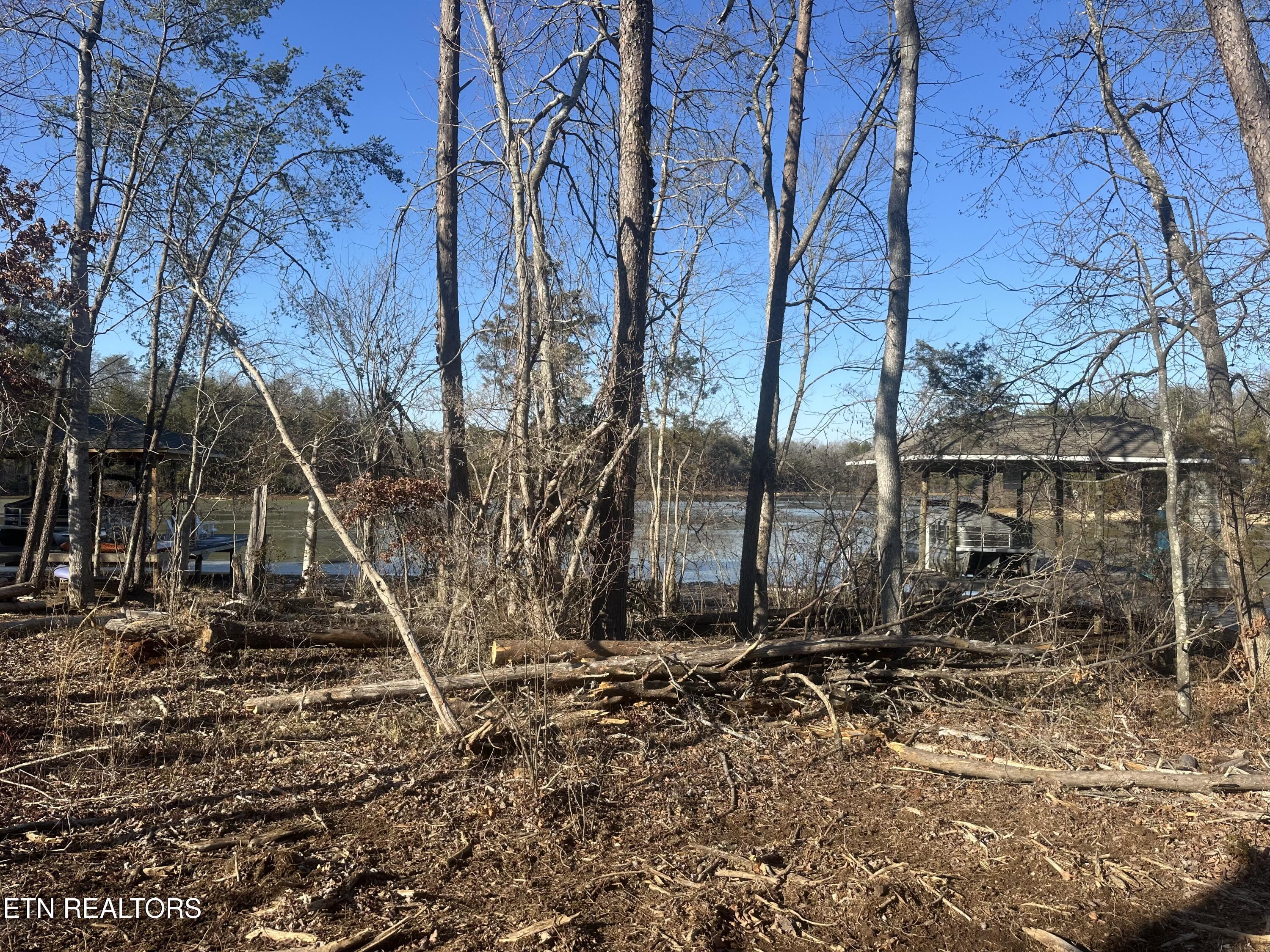 Fort Loudoun and Tellico Lake Real Estate - Image# 2