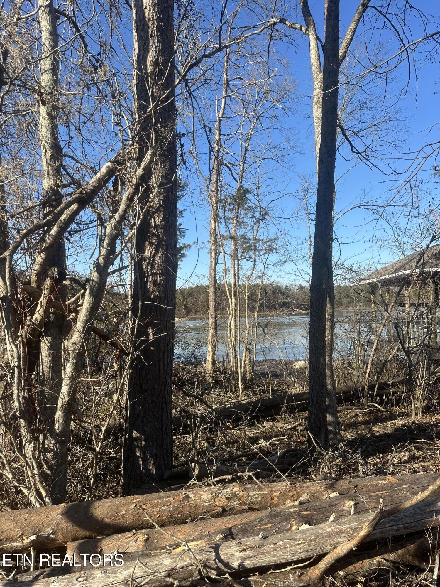 Fort Loudoun and Tellico Lake Real Estate - Image# 3