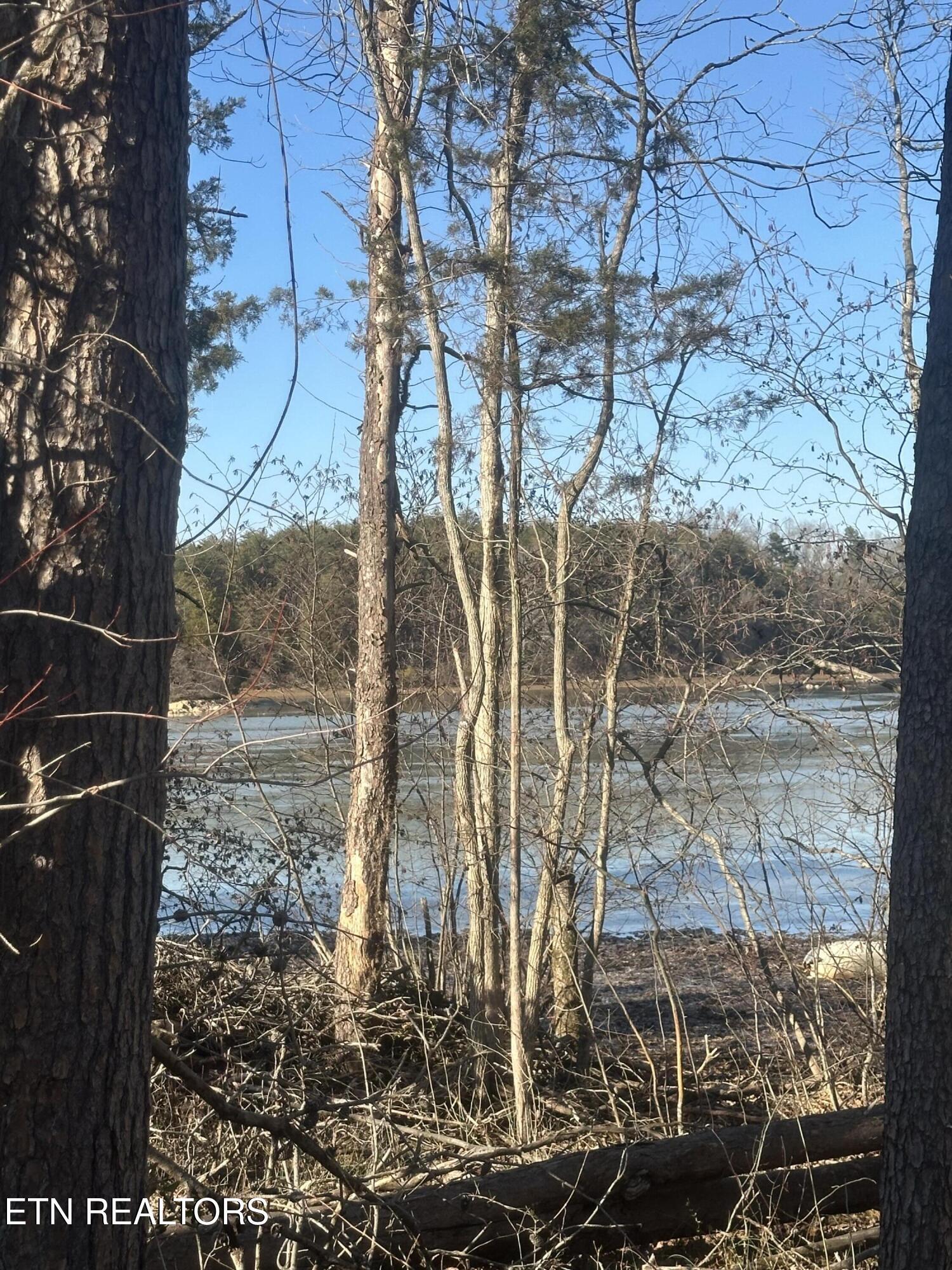 Fort Loudoun and Tellico Lake Real Estate - Image# 4