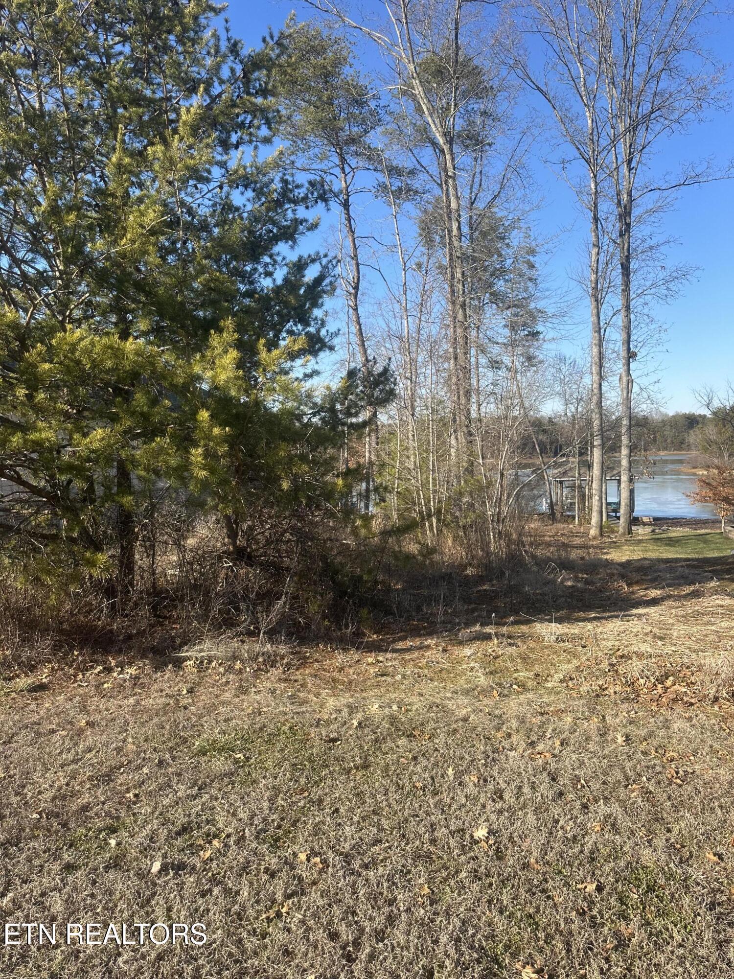 Fort Loudoun and Tellico Lake Real Estate - Image# 9