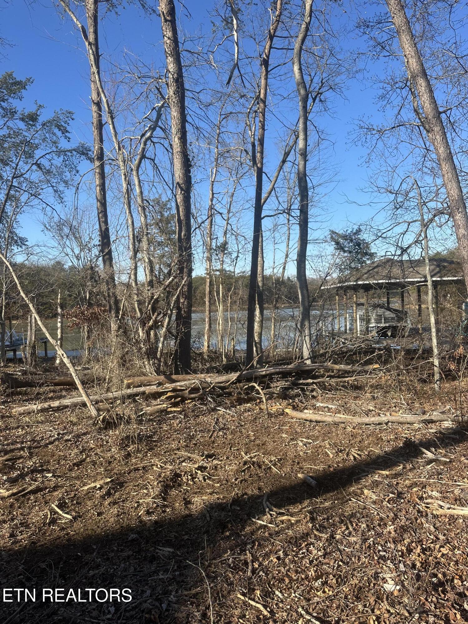 Fort Loudoun and Tellico Lake Real Estate - Image# 6