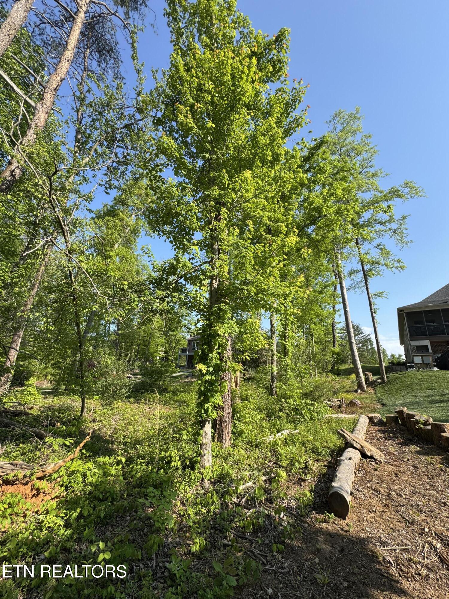 Fort Loudoun and Tellico Lake Real Estate - Image# 22