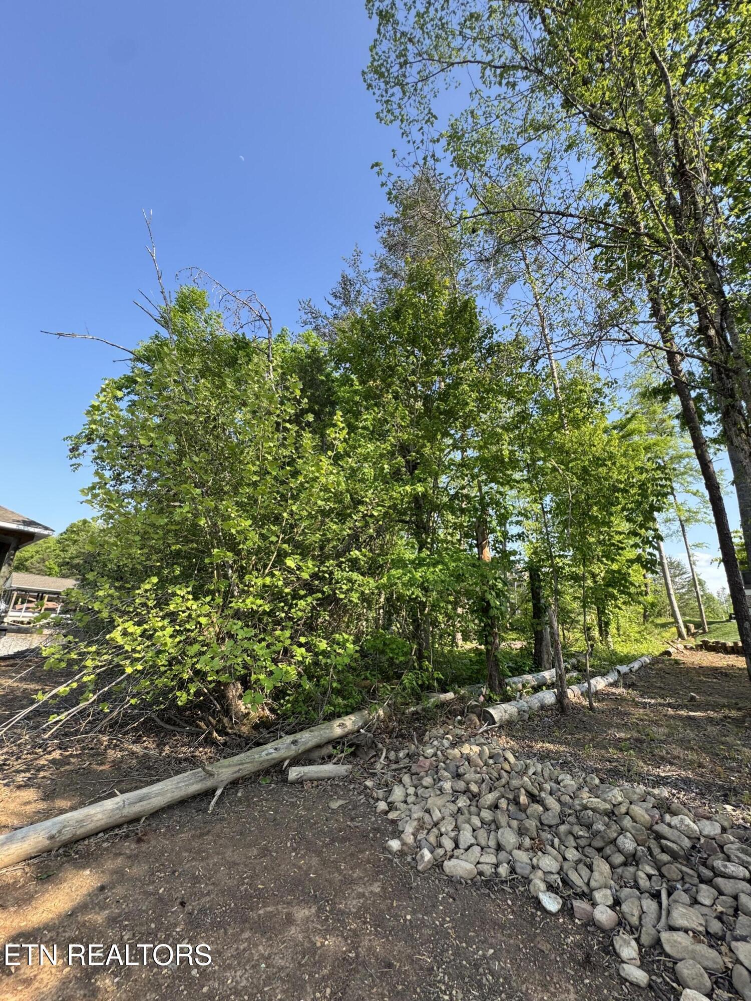 Fort Loudoun and Tellico Lake Real Estate - Image# 20