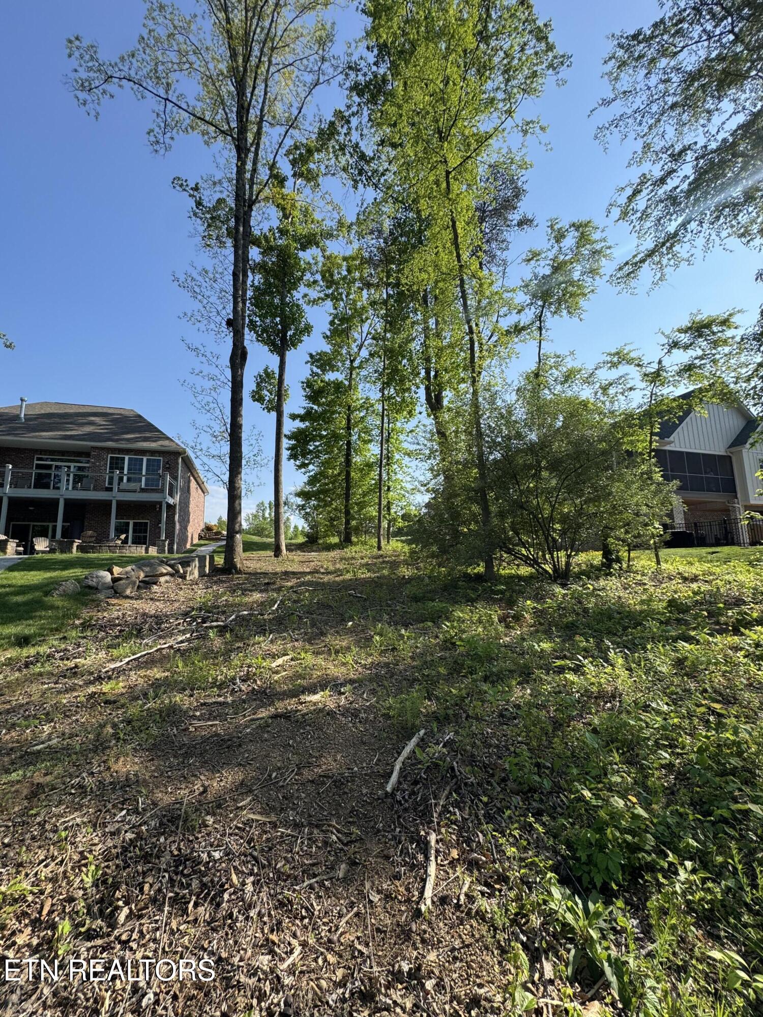 Fort Loudoun and Tellico Lake Real Estate - Image# 16