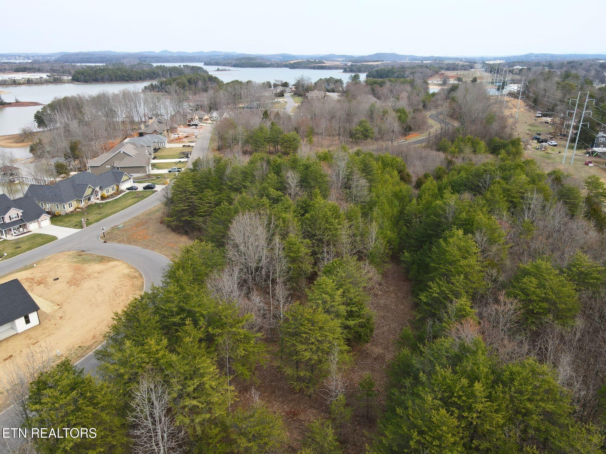 Fort Loudoun and Tellico Lake Real Estate - Image# 12