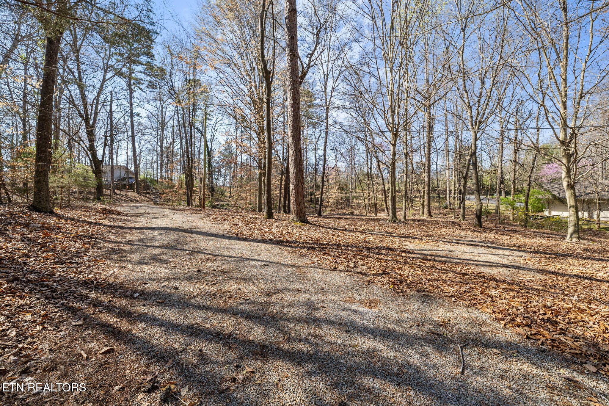 3798 Lakeland Drive, Lenoir City, TN - Fort Loudoun and Tellico Lake Real Estate - Image# 16