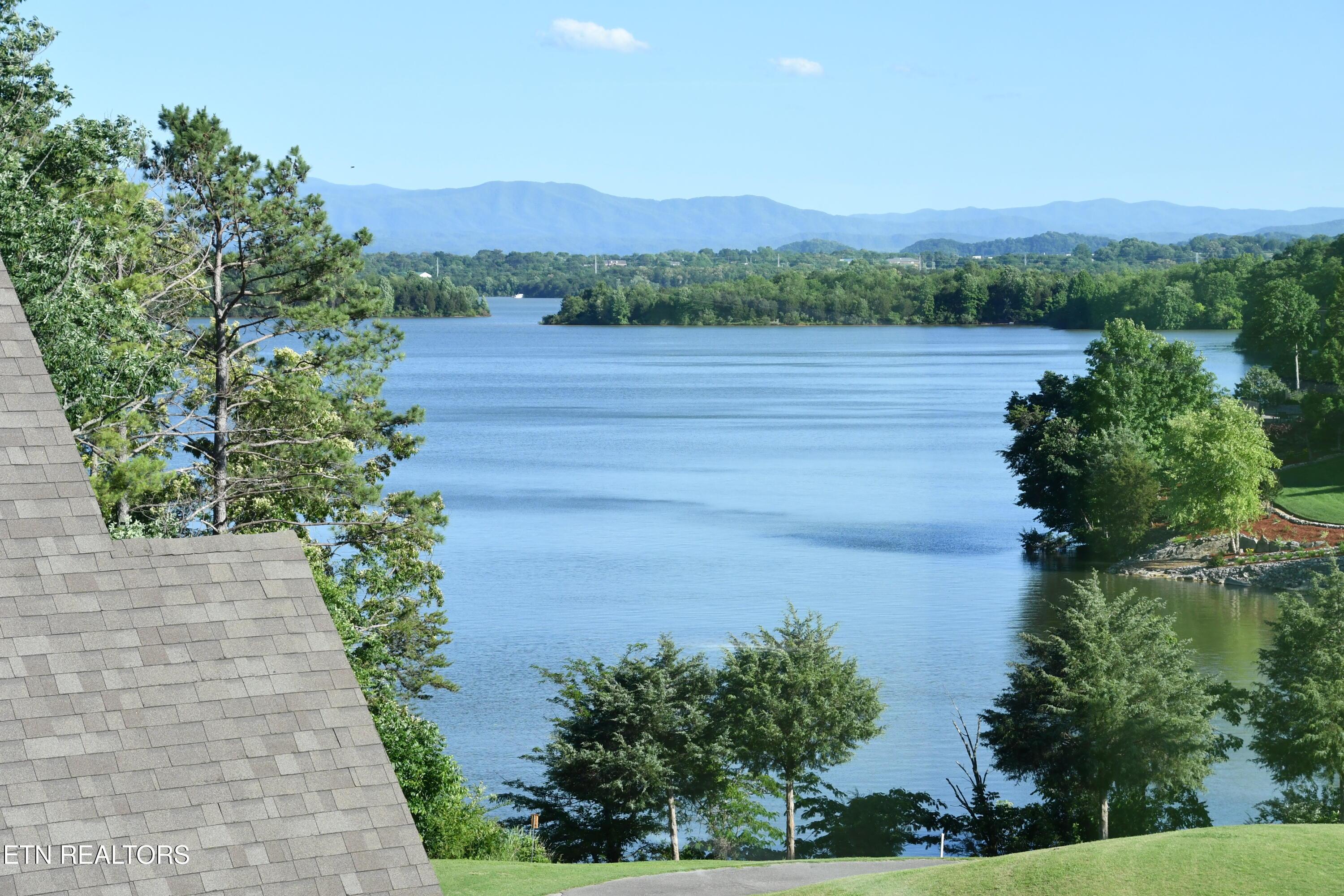 170 Blue Jay Ave, Vonore, TN - Fort Loudoun and Tellico Lake Real Estate - Image# 7