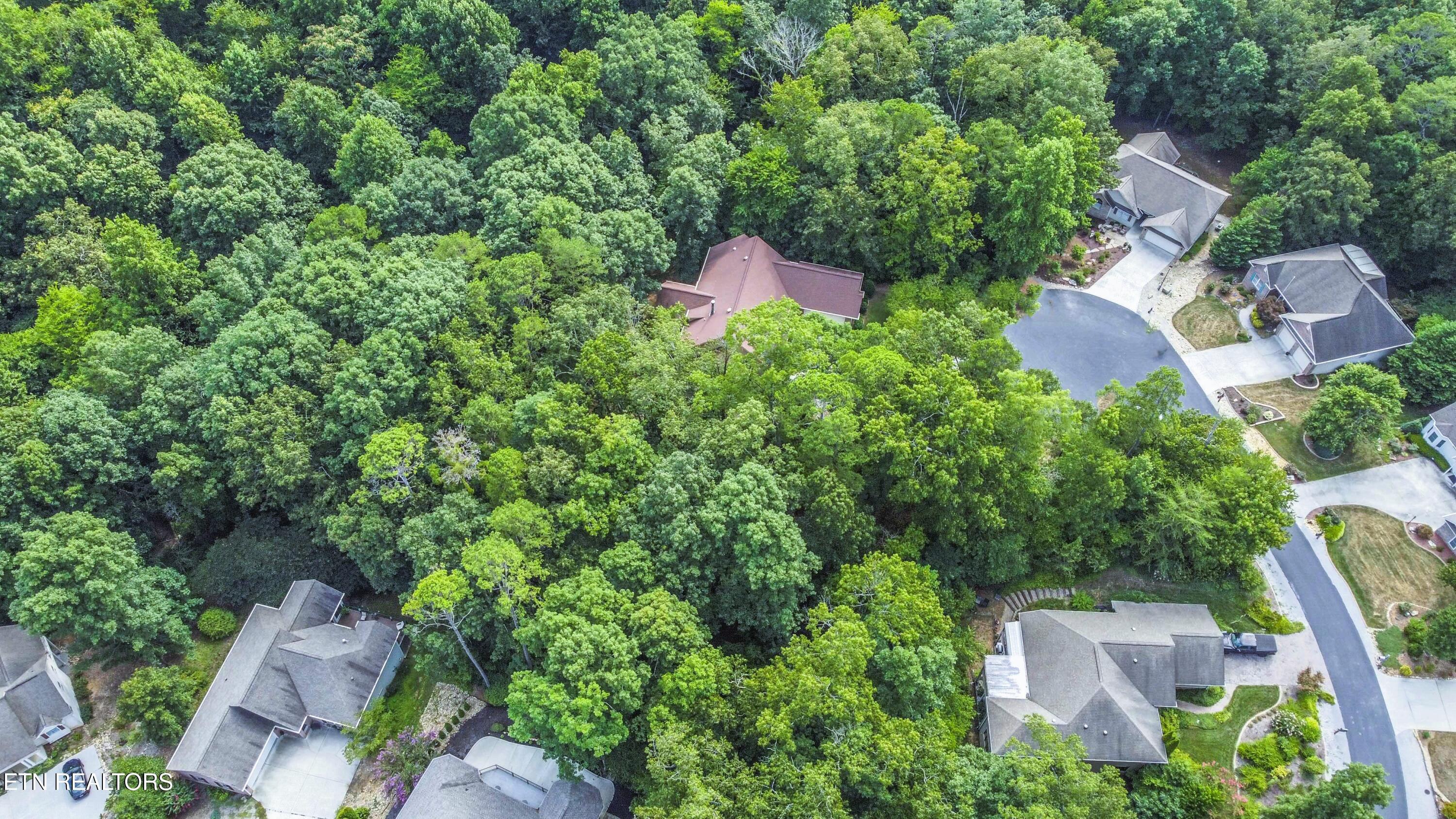 Fort Loudoun and Tellico Lake Real Estate - Image# 12