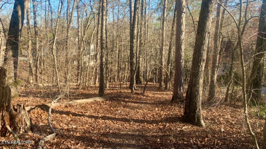 Fort Loudoun and Tellico Lake Real Estate - Image# 5