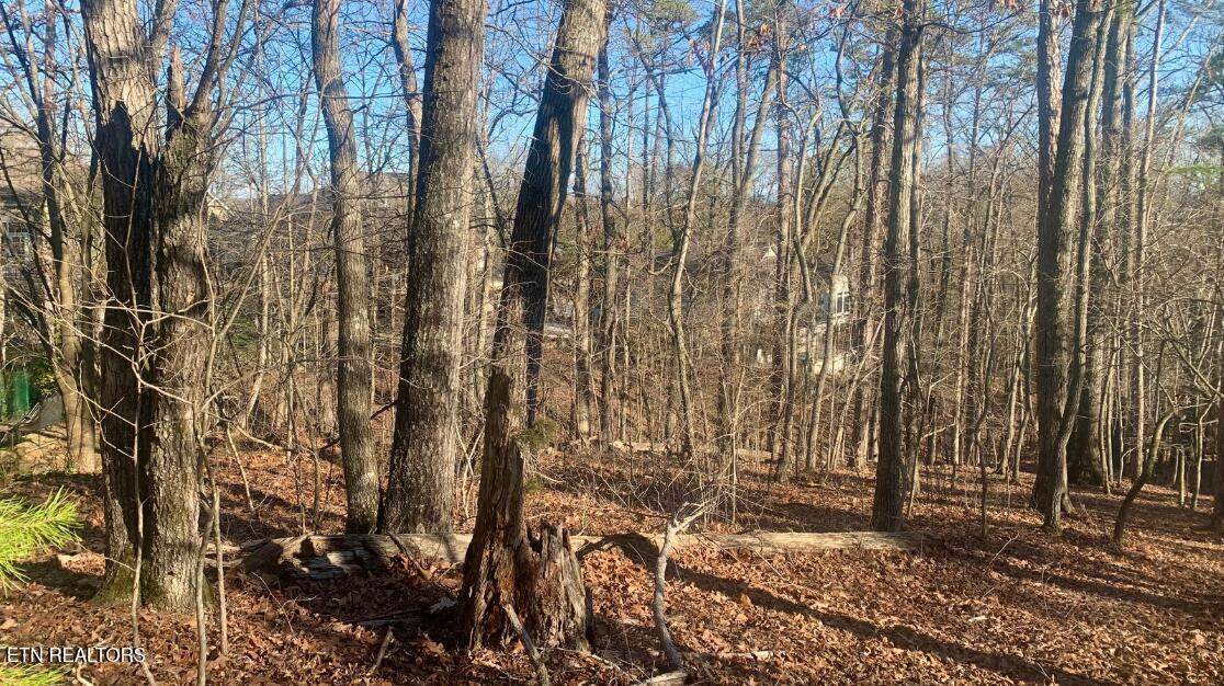 Fort Loudoun and Tellico Lake Real Estate - Image# 4