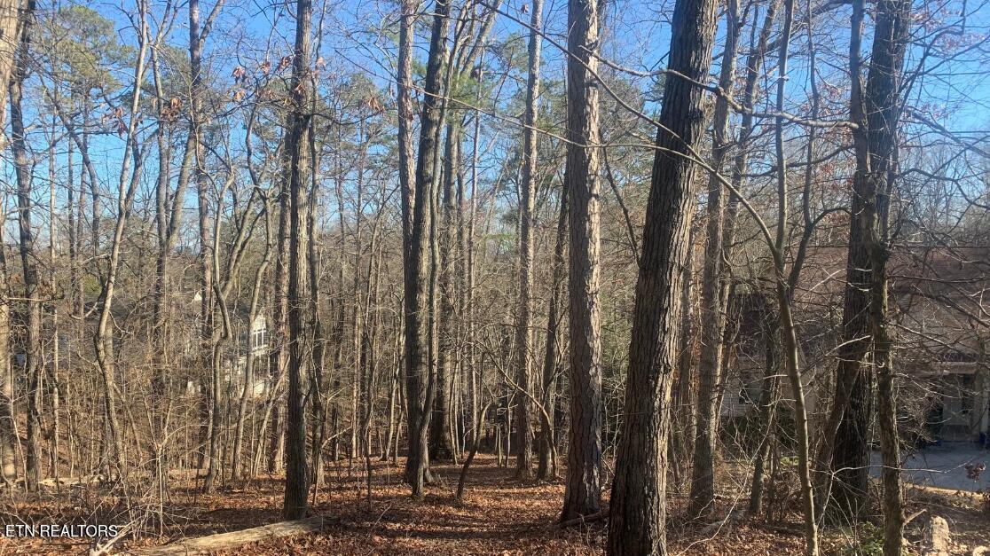 Fort Loudoun and Tellico Lake Real Estate - Image# 6