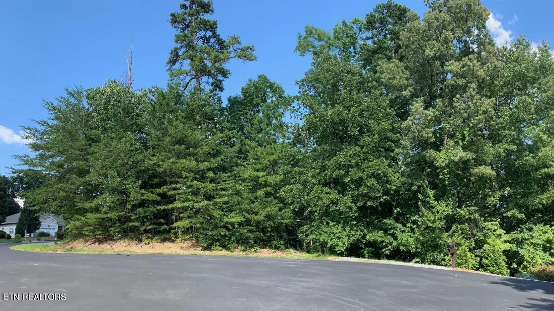 Fort Loudoun and Tellico Lake Real Estate - Image# 15