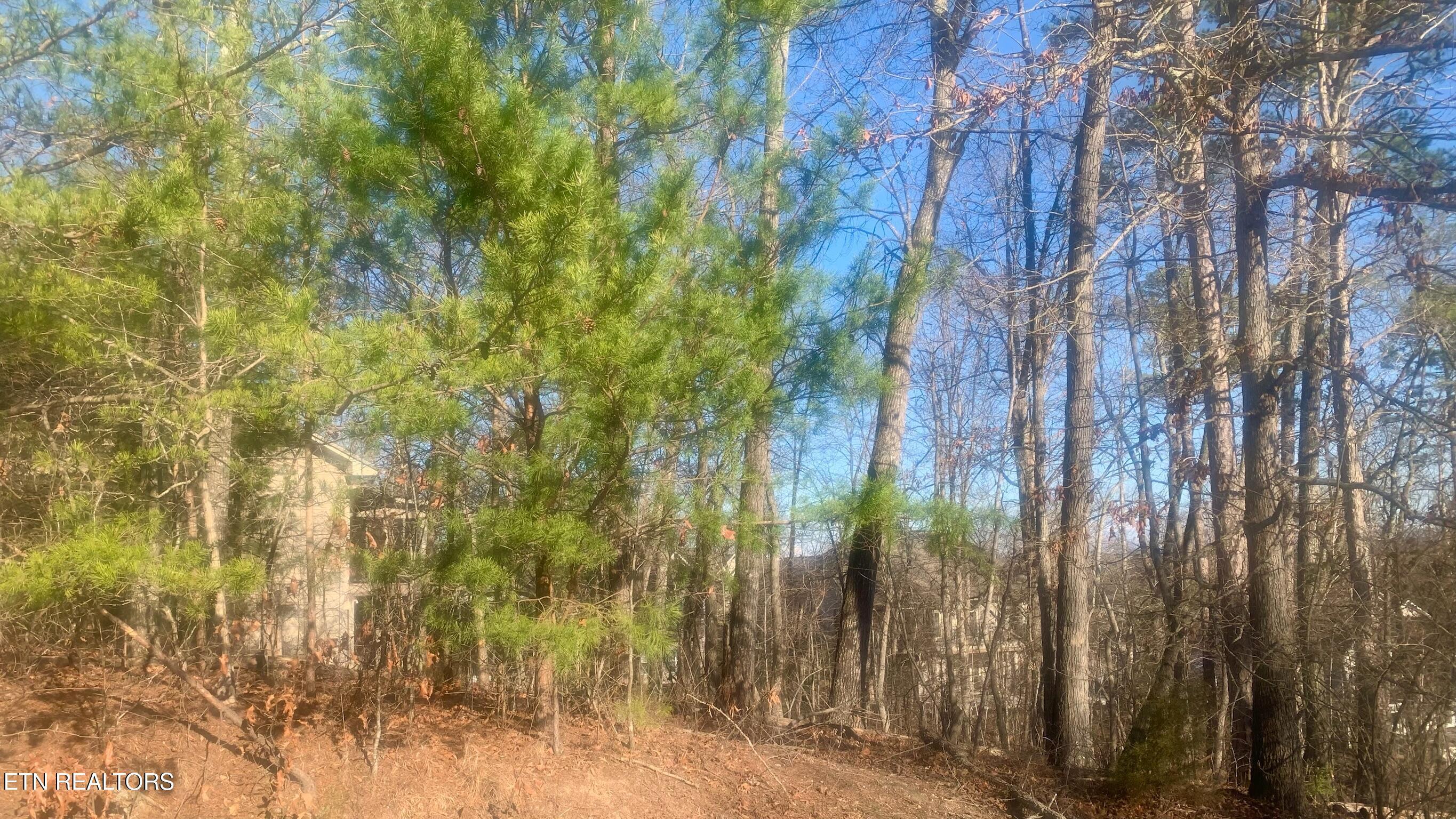 Fort Loudoun and Tellico Lake Real Estate - Image# 20