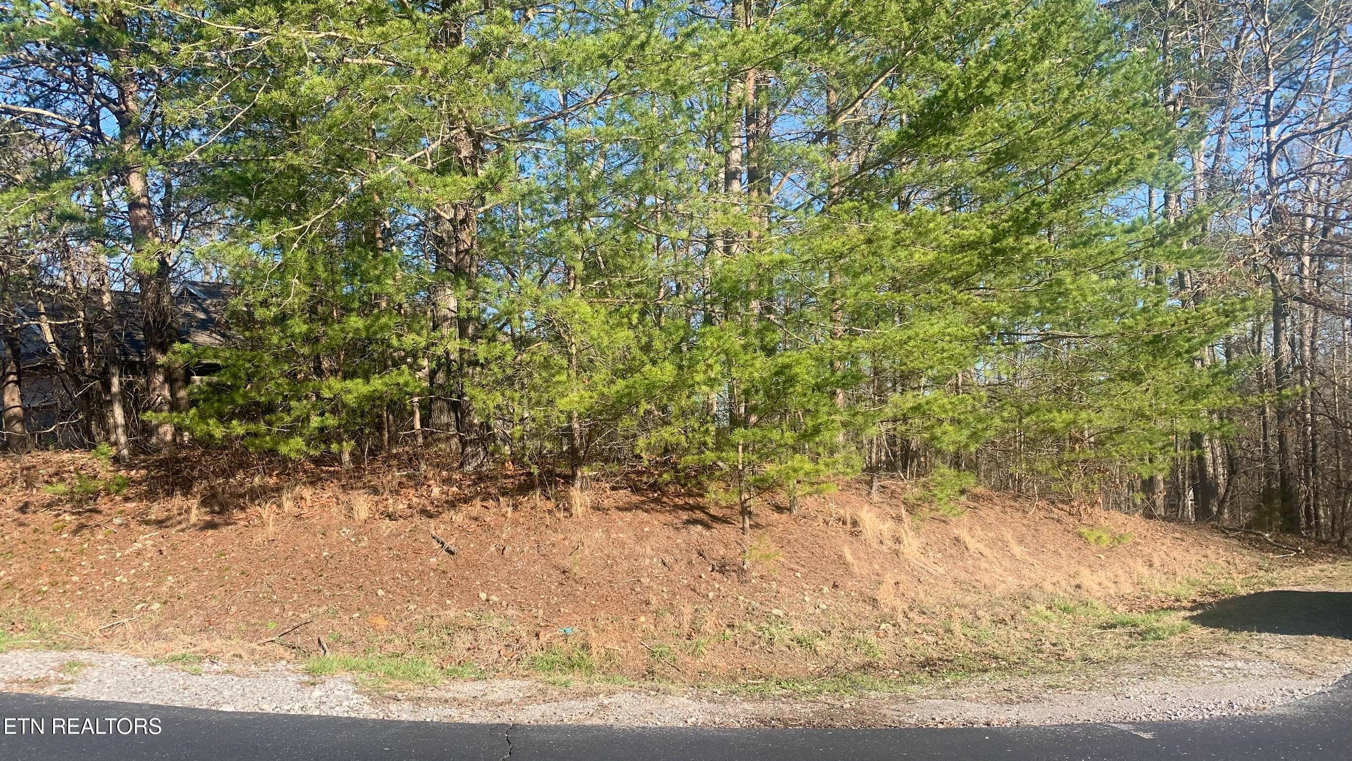 Fort Loudoun and Tellico Lake Real Estate - Image# 2