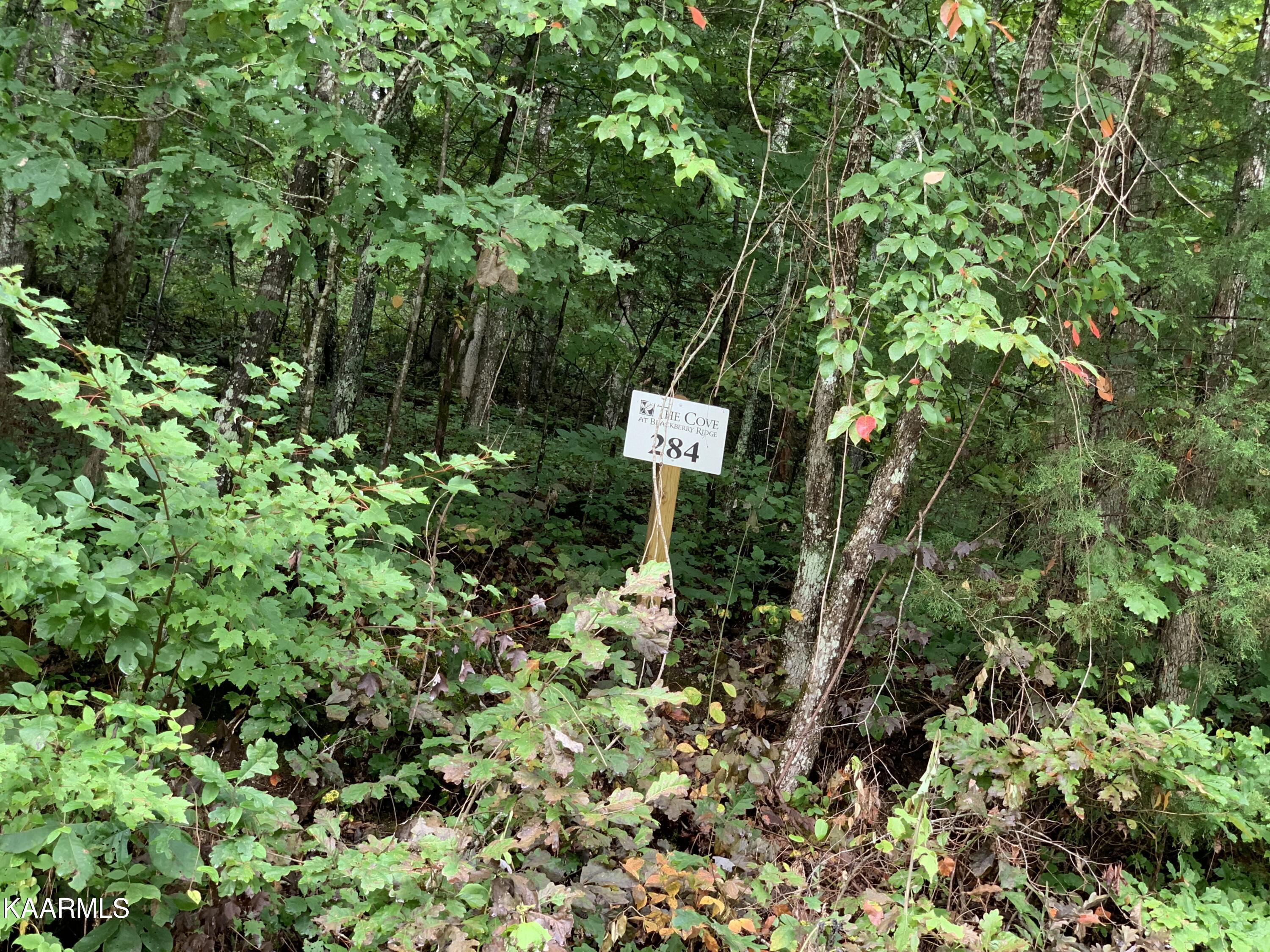 Fort Loudoun and Tellico Lake Real Estate - Image# 2