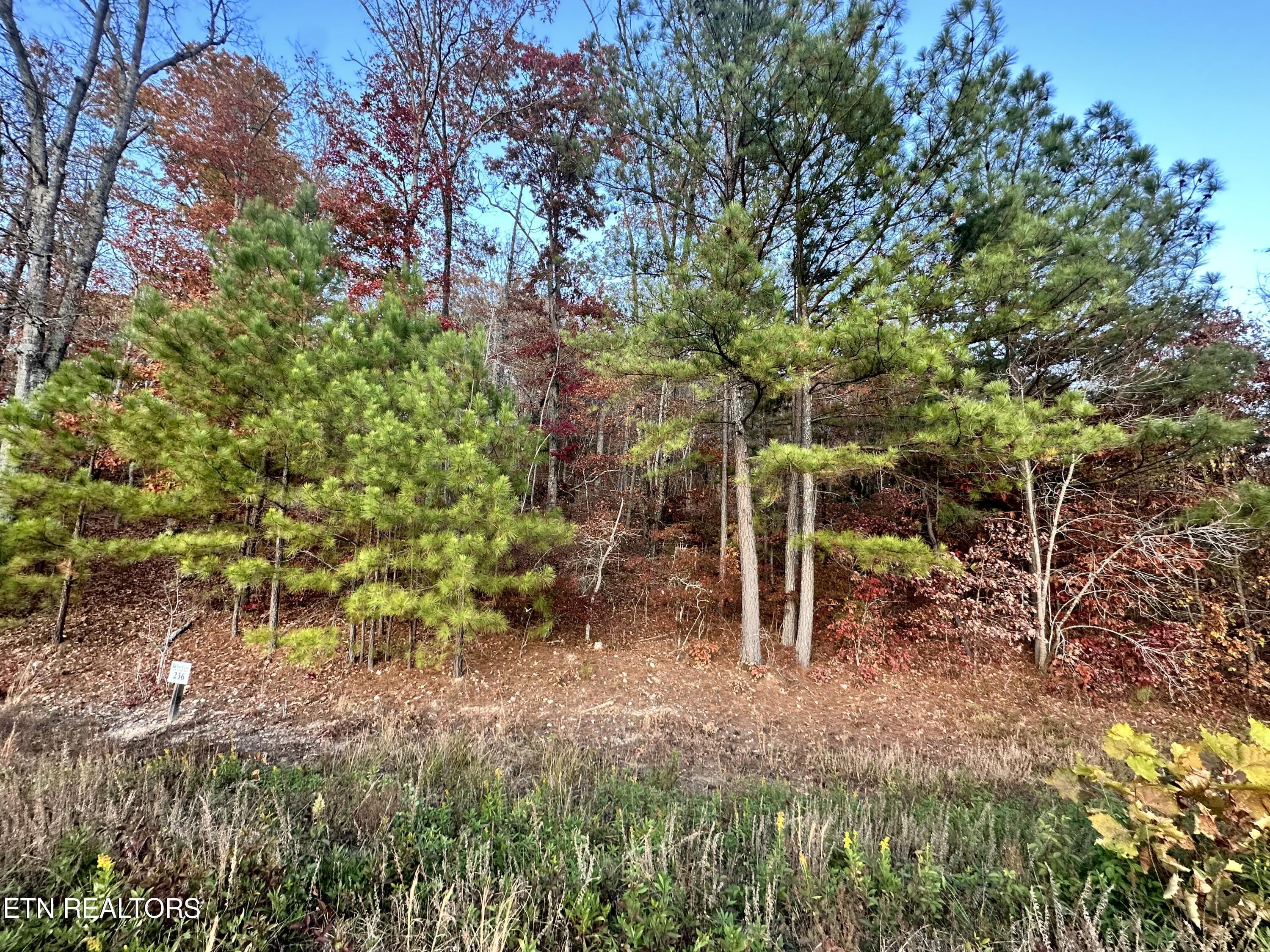 Fort Loudoun and Tellico Lake Real Estate - Image# 2