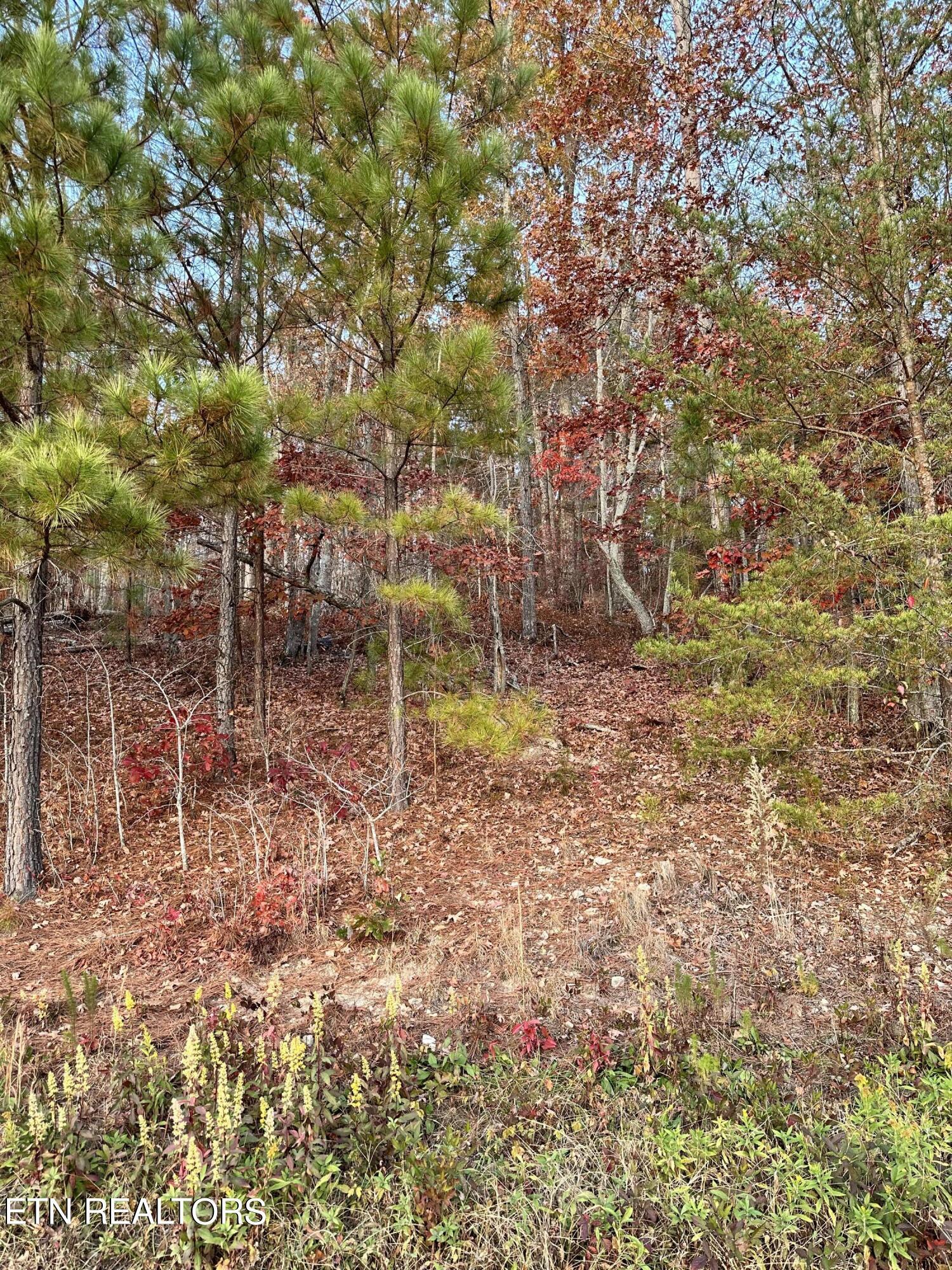 Fort Loudoun and Tellico Lake Real Estate - Image# 6