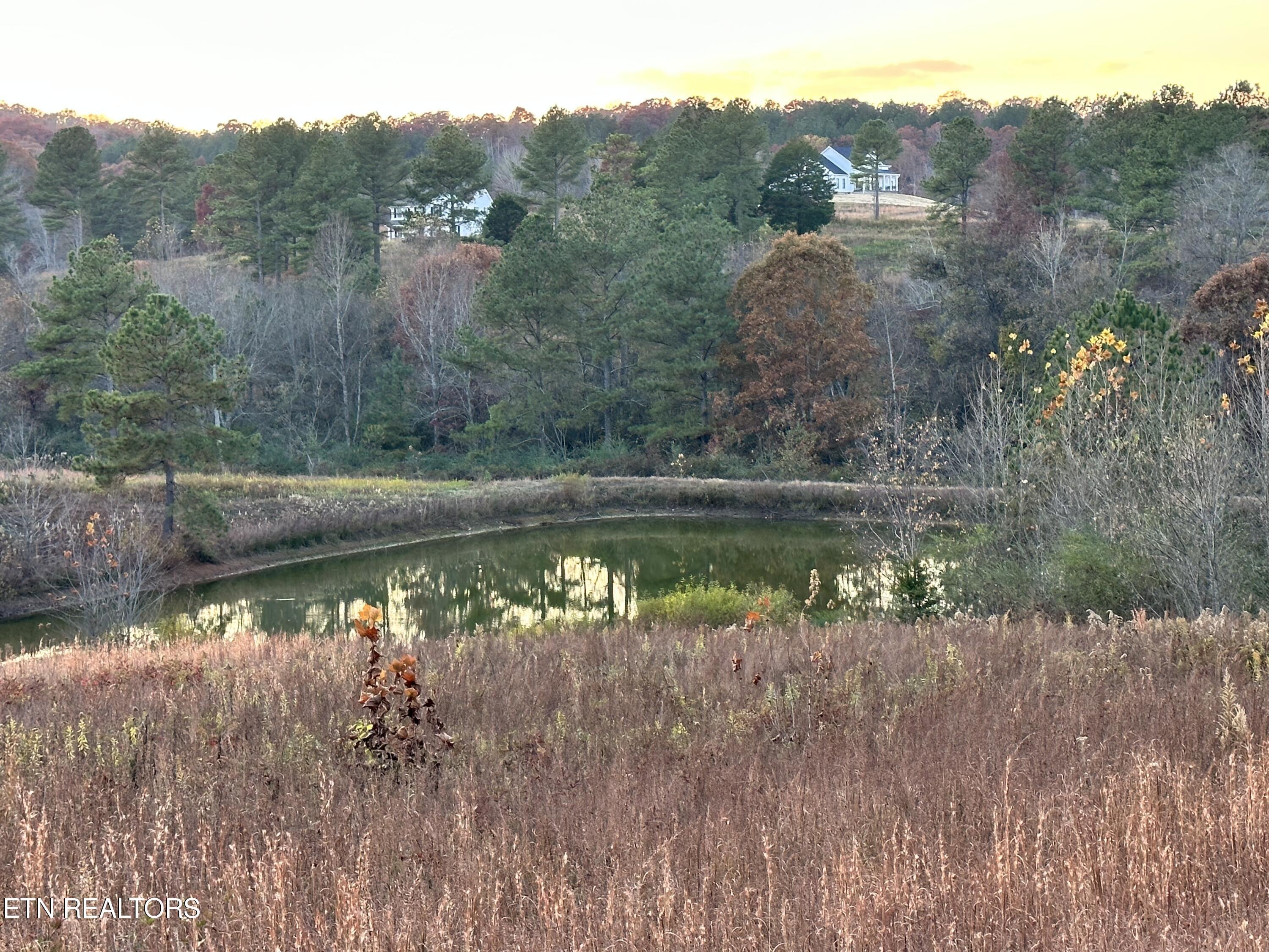 Fort Loudoun and Tellico Lake Real Estate - Image# 7