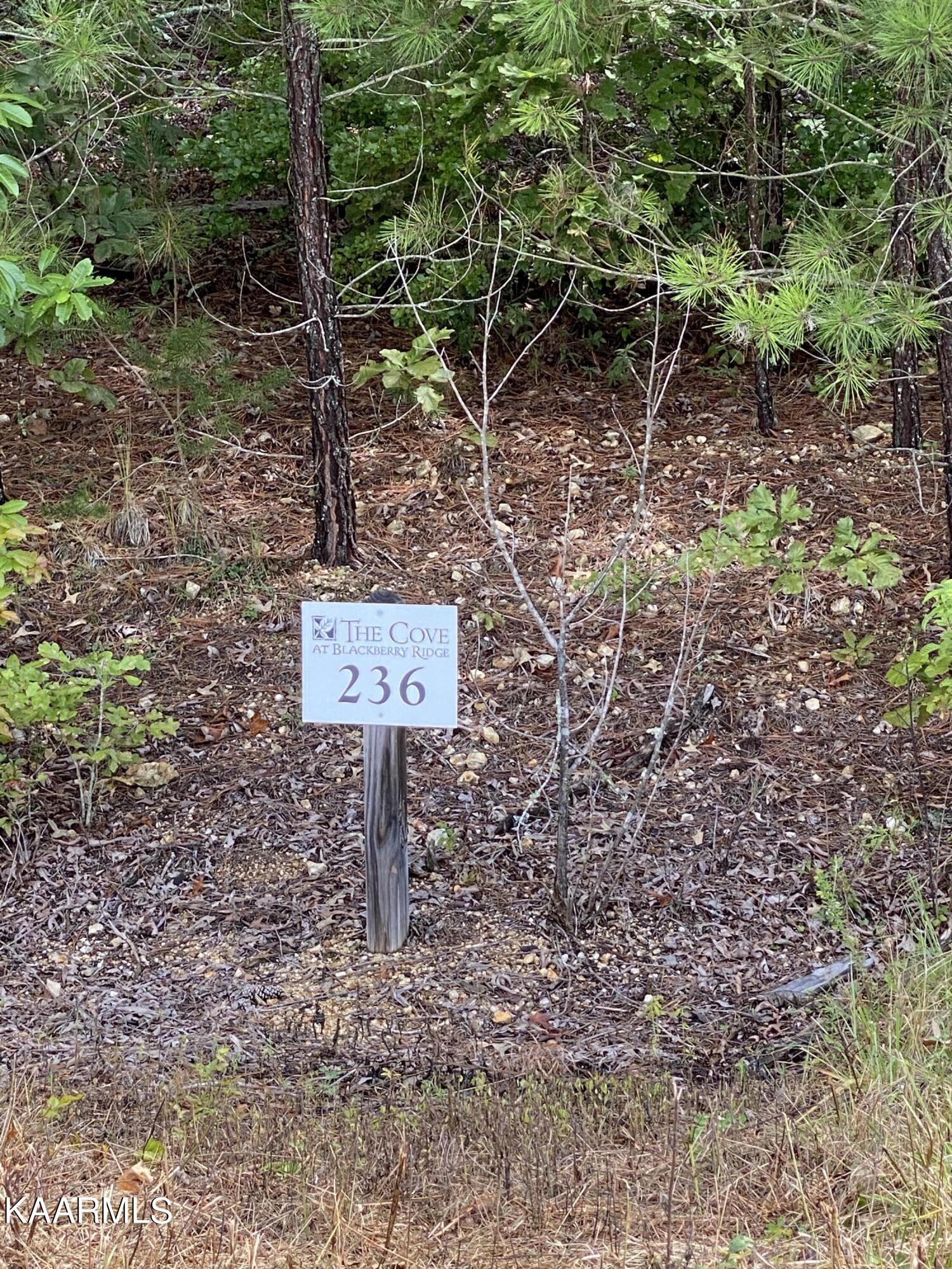 Fort Loudoun and Tellico Lake Real Estate - Image# 10