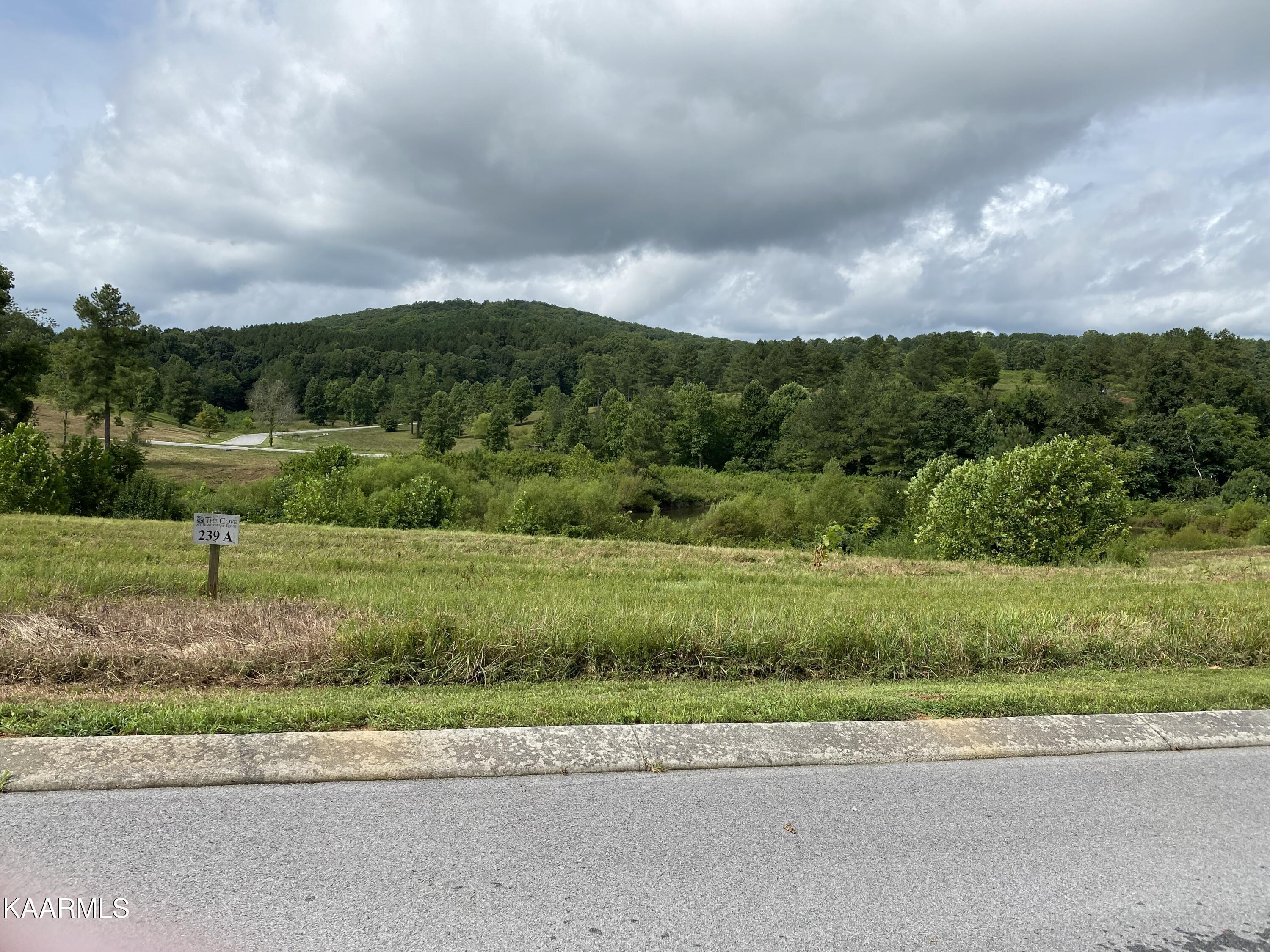 Fort Loudoun and Tellico Lake Real Estate - Image# 12