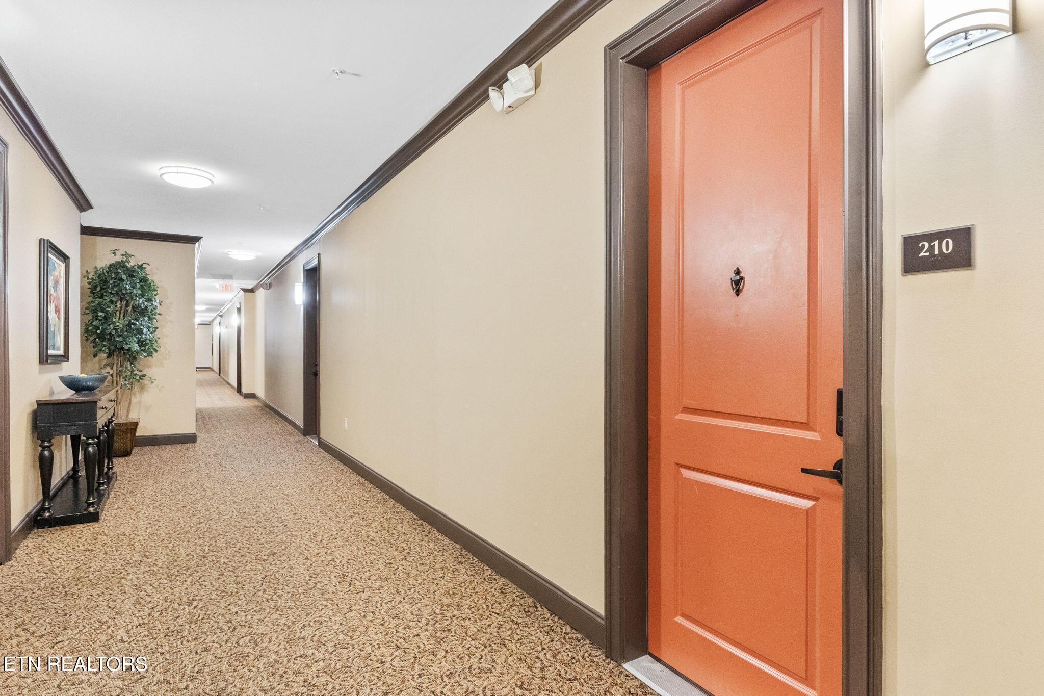 445 W Blount Ave, Knoxville, TN - Fort Loudoun and Tellico Lake Real Estate - Image# 4