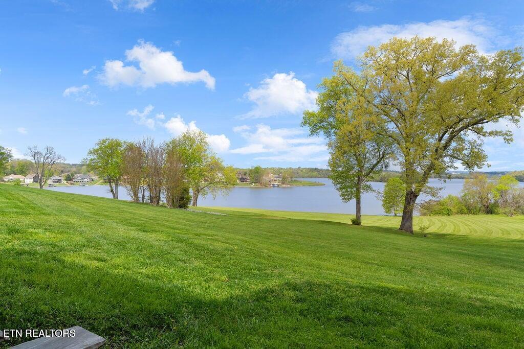 Fort Loudoun and Tellico Lake Real Estate - Image# 57
