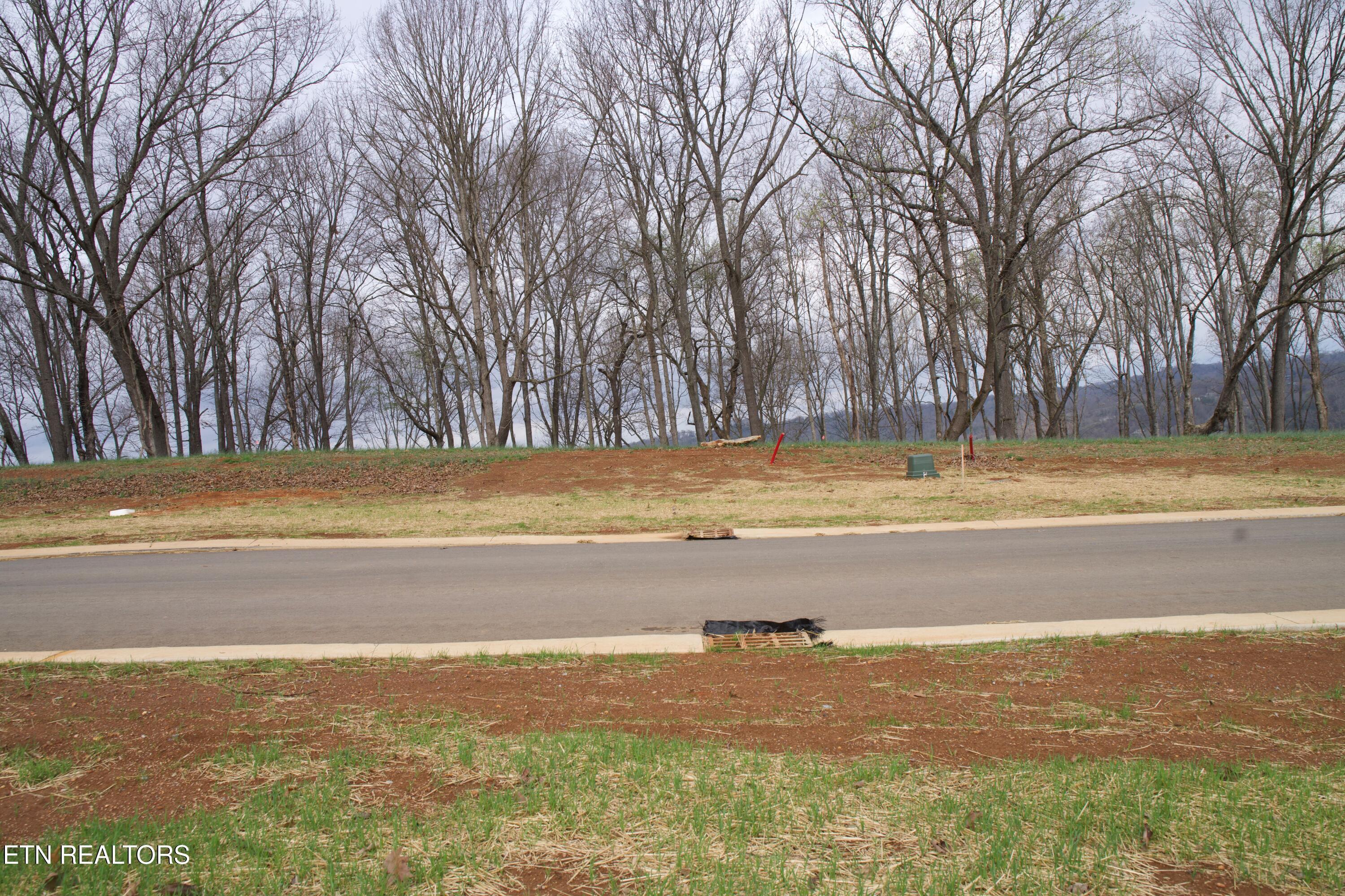 Fort Loudoun and Tellico Lake Real Estate - Image# 2